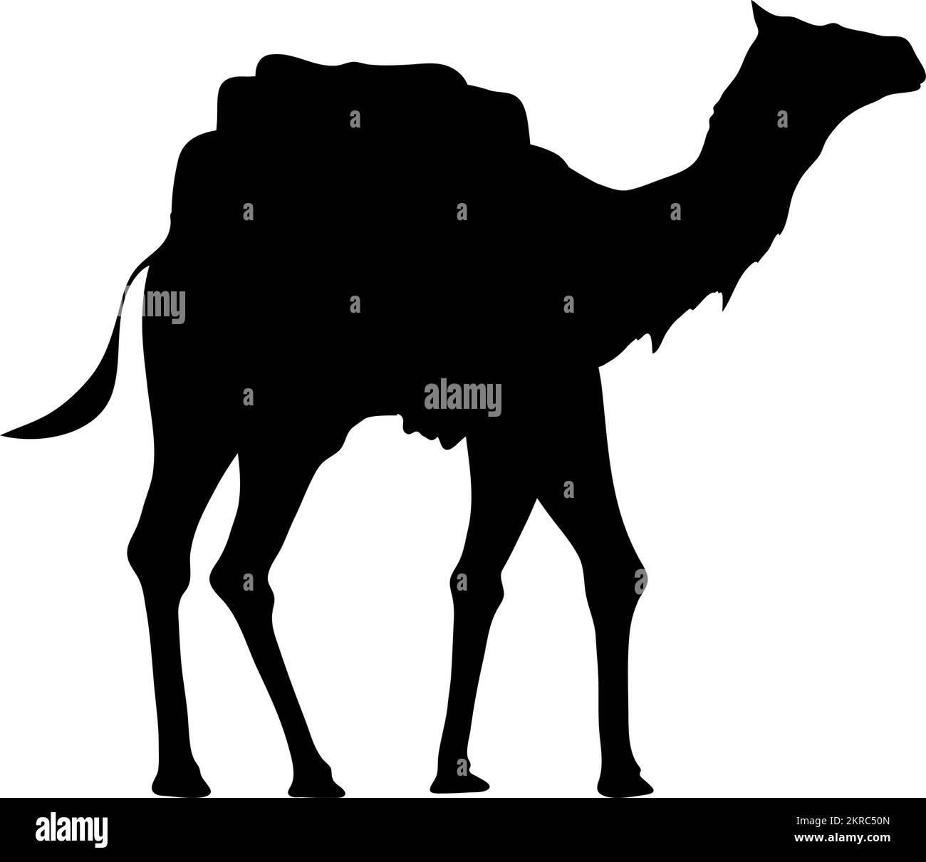 Eine Silhouette im Stil eines Kamels Stock Vektor