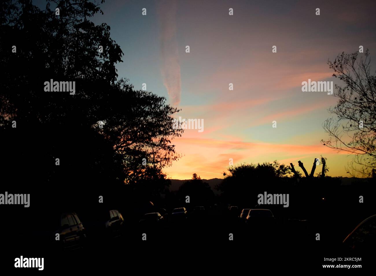 Wunderschöner Sonnenuntergang mit Bäumen Stockfoto