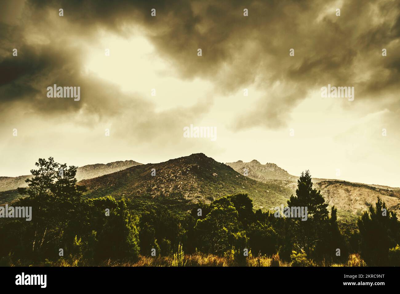 Instagram-Stil Bild von Weitwinkel Bergketten mit ländlichen Forstwirtschaft Typografie. Gormanston, Tasmanien, Australien Stockfoto