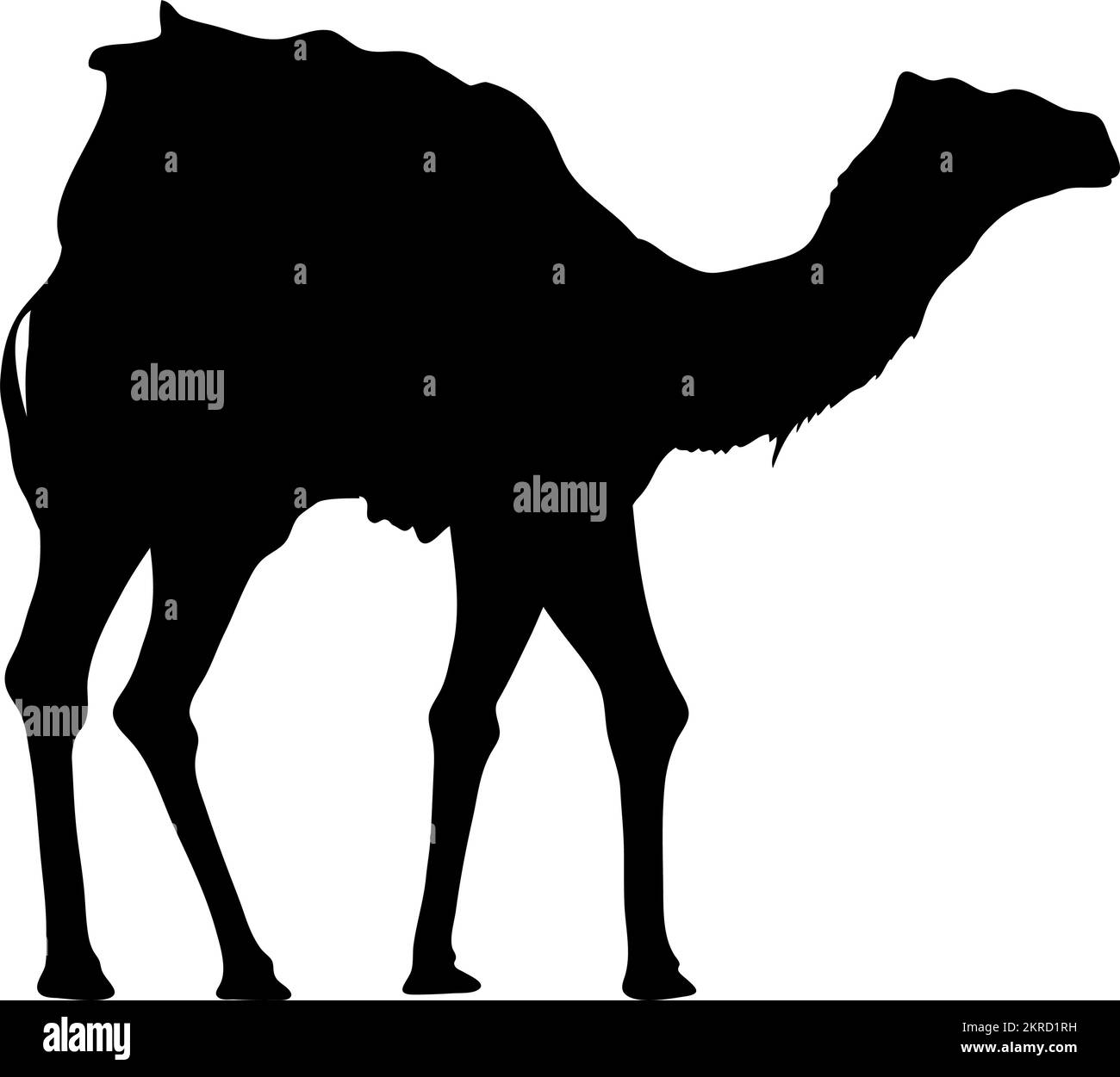 Schwarze Silhouette im Stil eines Kamels Stock Vektor