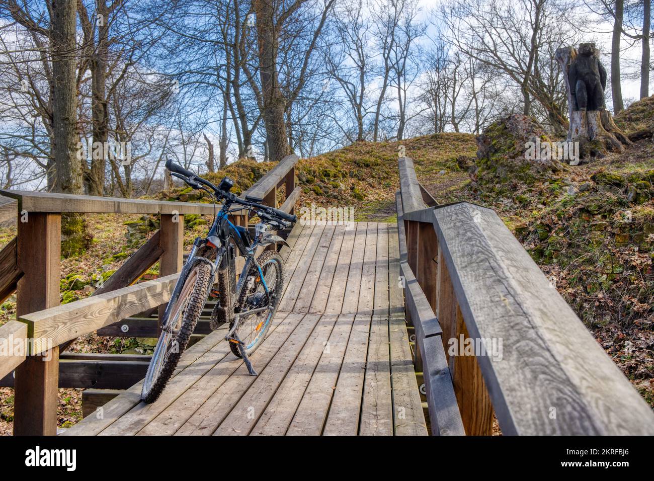 Burgruine Anhalt Selketal Harz Stockfoto