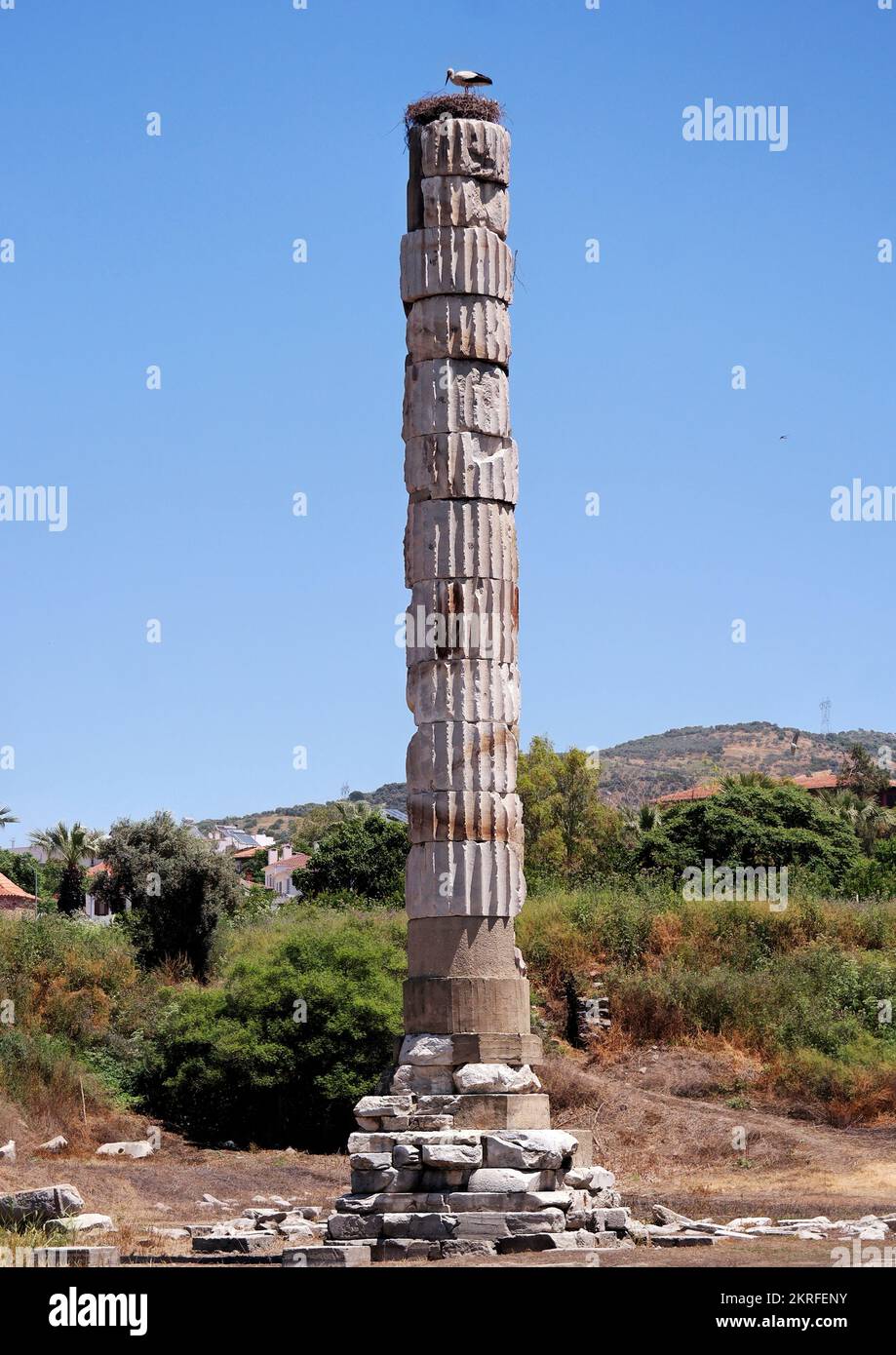 Izmir, Selcuk, Türkei, Mai 2018: Säule und Ruinen des Tempels von Artemis Ephesus, eines der sieben Weltwunder der Antike Stockfoto