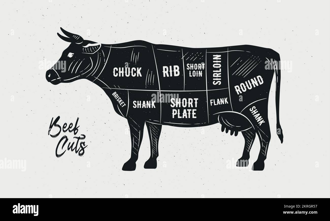 Vektorschnitte von Rindfleisch. Metzgerdiagramm, Schema, Diagramm. Silhouette der Kuhskizze isoliert auf weißem Hintergrund. Vintage-Poster für Metzger, Barbecue. Stock Vektor