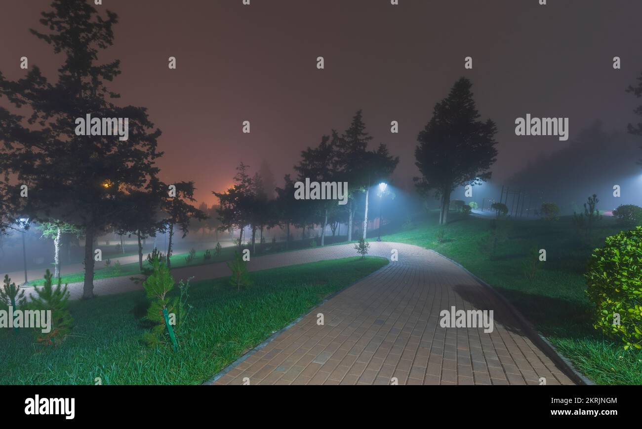 Stadtpark bei Nacht im Nebel Stockfoto