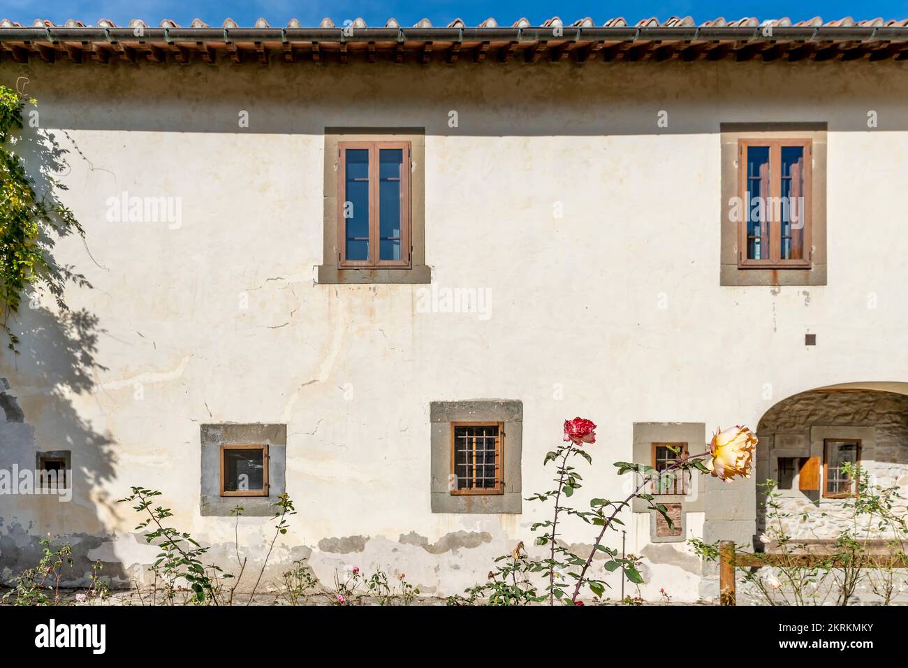 Wunderschöne farbige Rosen im Garten der alten Zelle San Romualdo, der heiligen Einsiedlung von Camaldoli, Italien Stockfoto