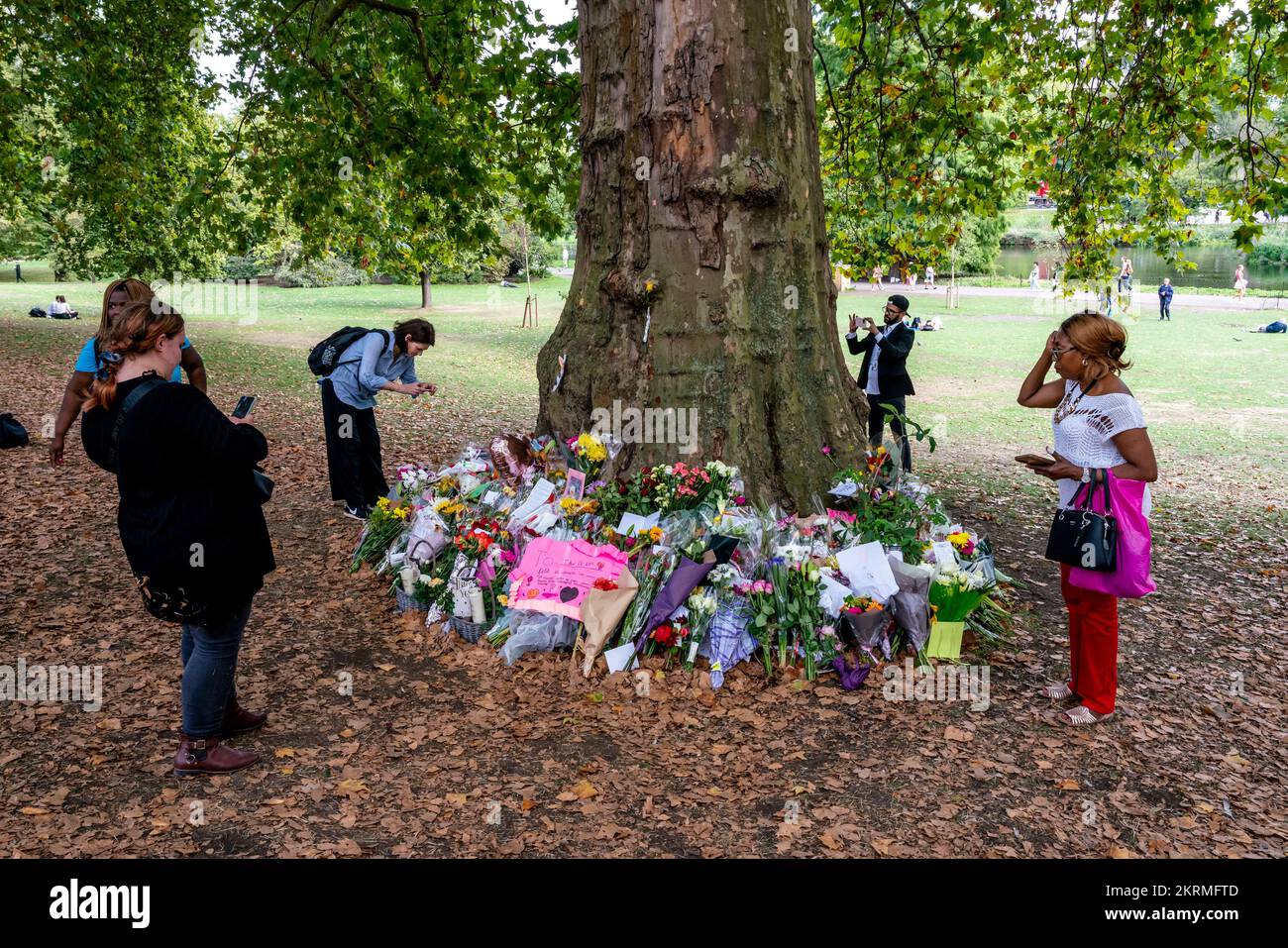 Blumenauszeichnungen für Queen Elizabeth II. In St Jame's Park, London, Großbritannien. Stockfoto