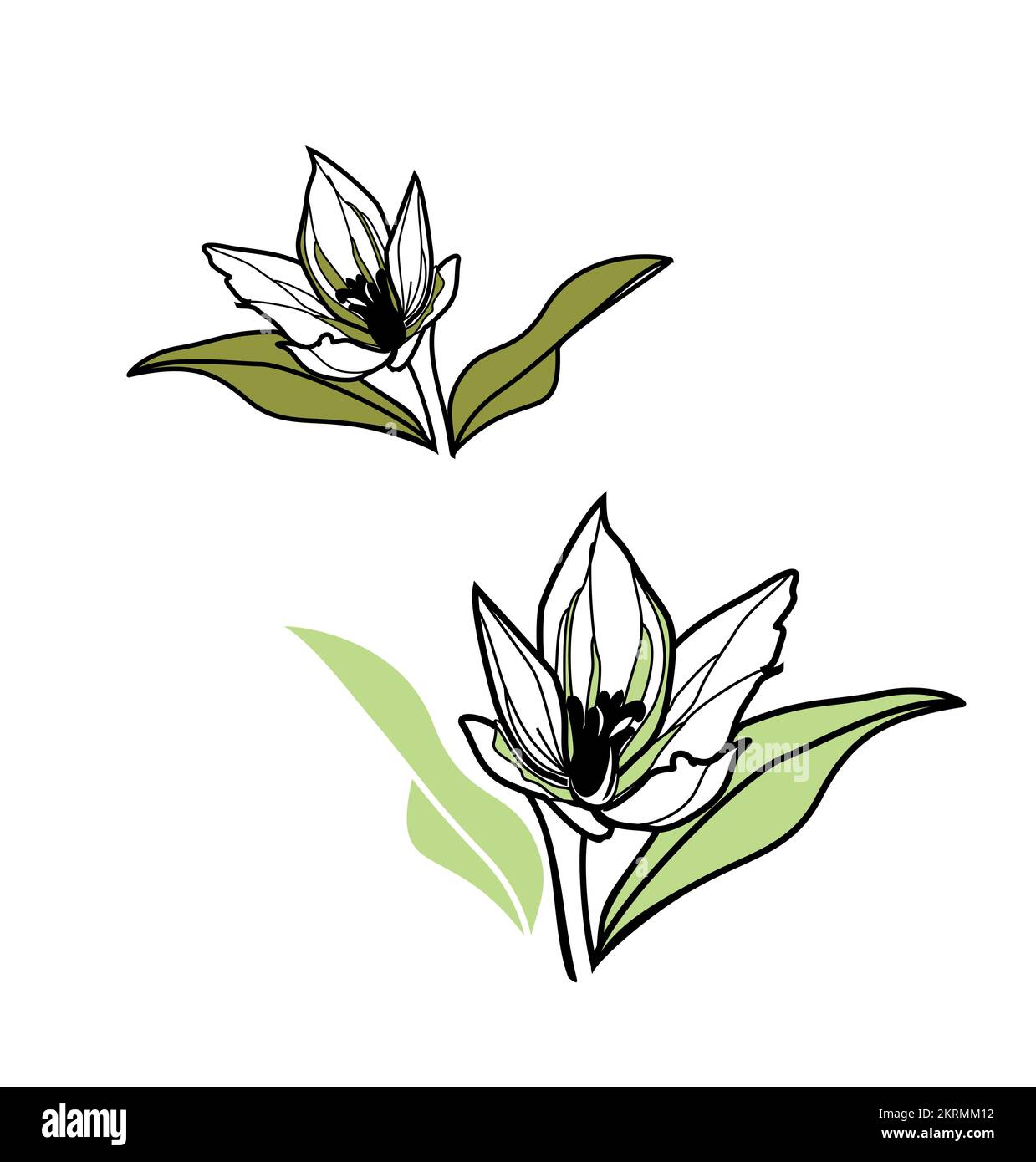 Wunderschöne Blume, Blumen, Blumenmotiv, Illustration botanischer Blumen, handgezeichnete, von der Natur inspirierte Logotype-Vorlage Stock Vektor