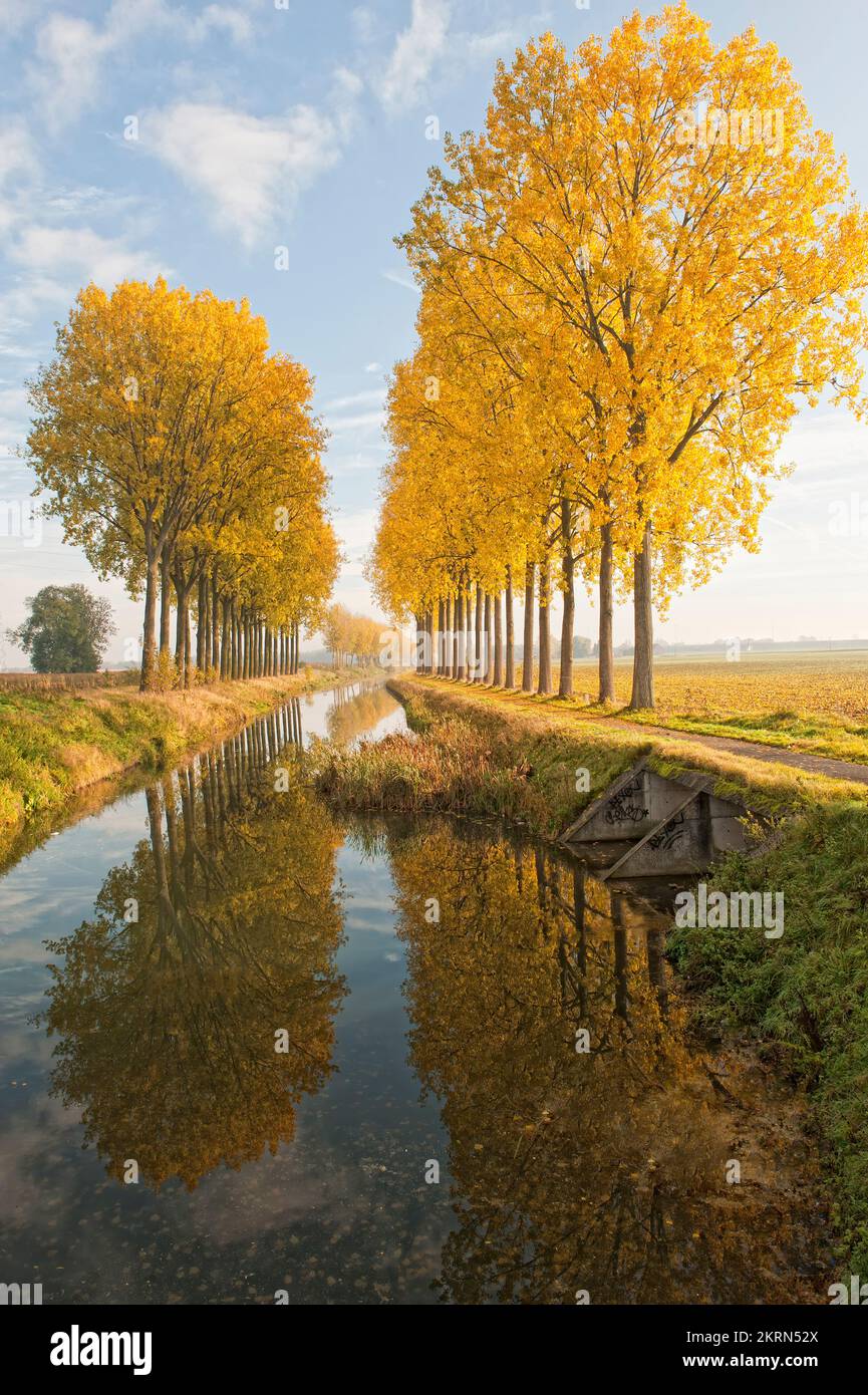 Canal de L’Espierres im Herbst, Leers-Nord, Belgien Stockfoto