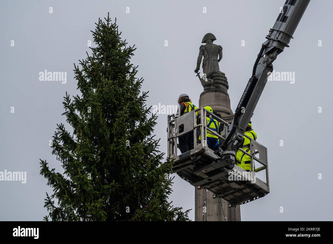 London, Großbritannien. 29.. November 2022. Der Weihnachtsbaum, ein jährliches Dankesgeschenk Norwegens für die Hilfe der Briten im Jahr WW2, geht auf den Trafalgar Square. Kredit: Guy Bell/Alamy Live News Stockfoto