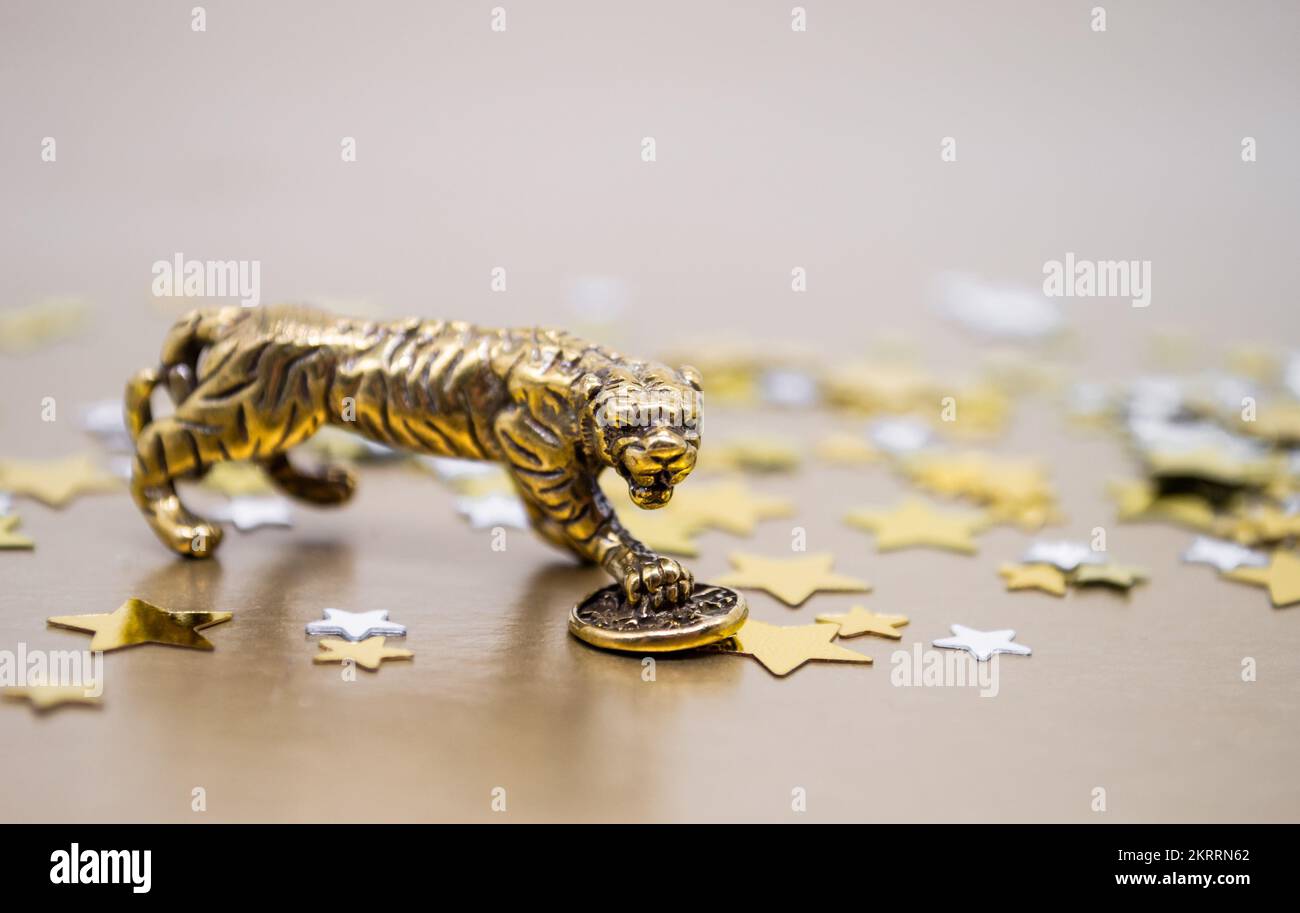 Eine Bronzefigur eines Tigers mit einer Münze auf einem Hintergrund mit goldenen Sternen, Kopierraum. Wünsche nach Macht, finanziellem Wohlergehen und Reichtum. Stockfoto