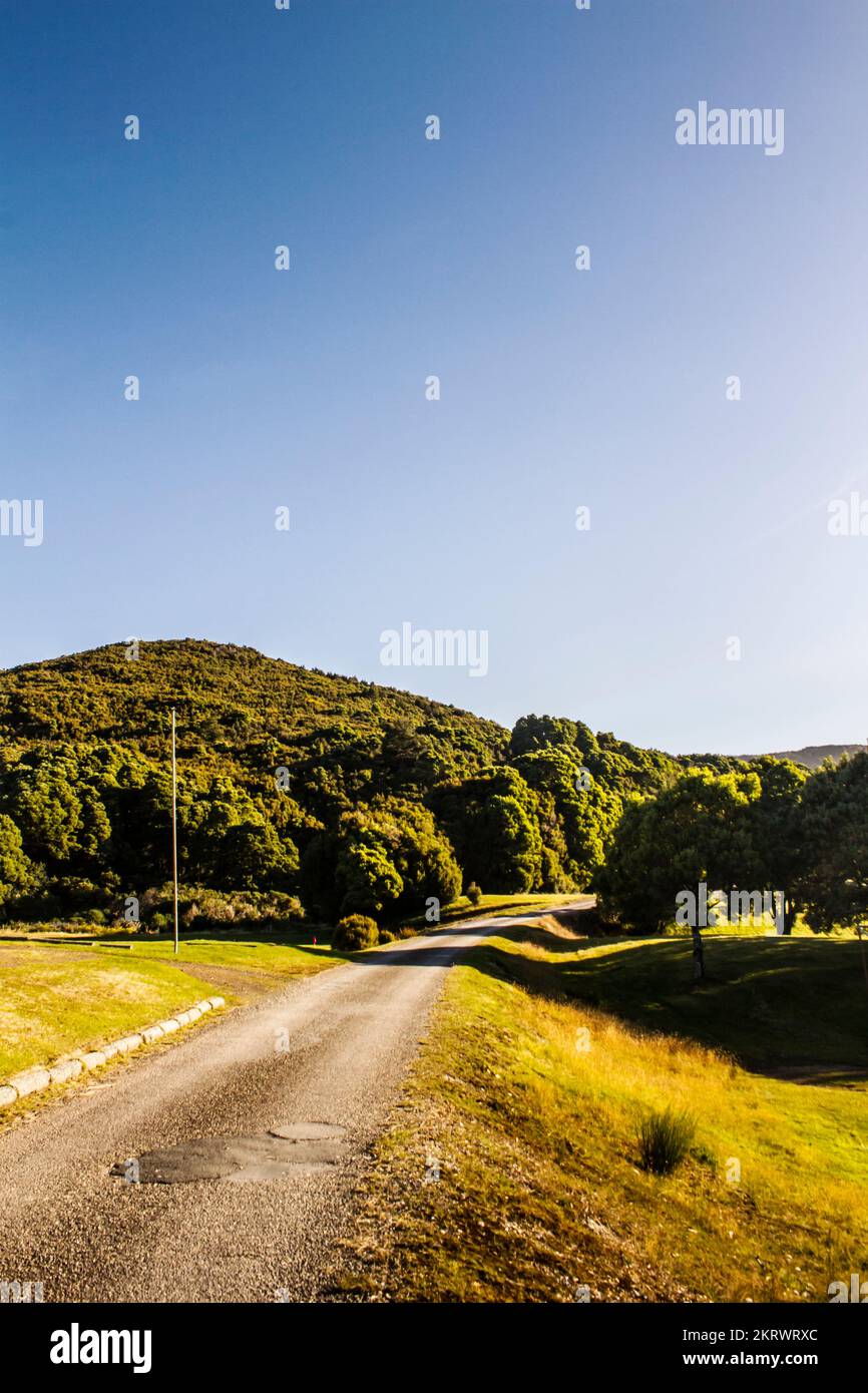Country-Szene auf einer abgelegenen Landstraße, die durch das Outback Zeehan, Tasmanien, Australien führt Stockfoto
