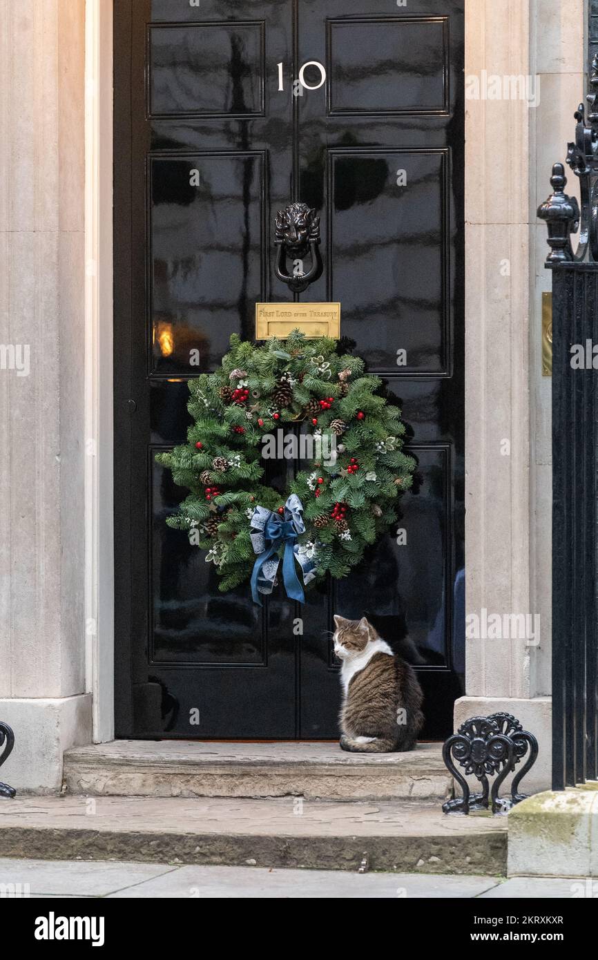 London, Großbritannien. 29.. November 2022. Larry, die Katze der Downing Steet, 10 Downing Street London. Kredit: Ian Davidson/Alamy Live News Stockfoto