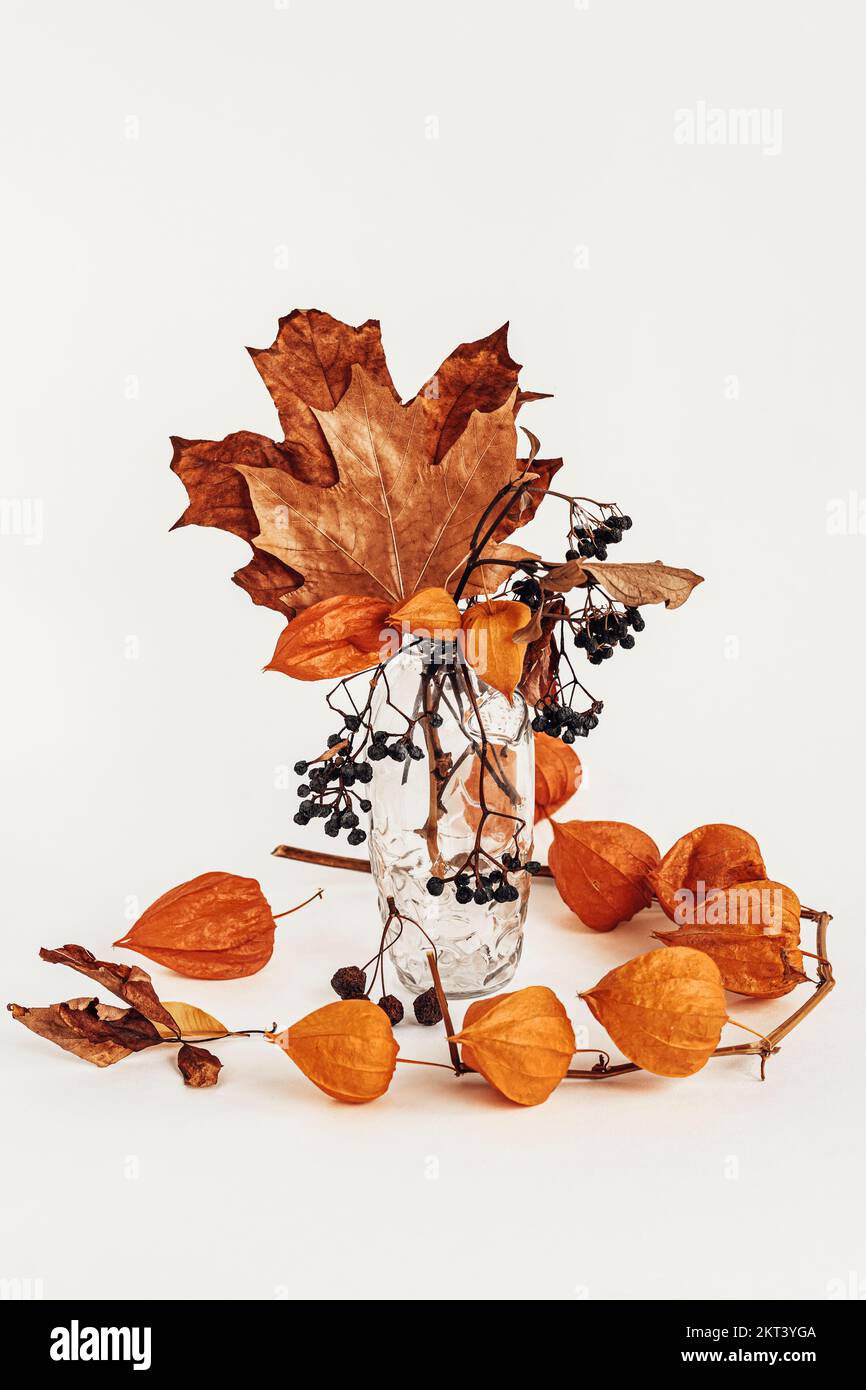 Zweige von Orangenphysalis, wilde Trauben und farbenfrohe herbstliche Blätter in Glasvase, heller Hintergrund Stockfoto