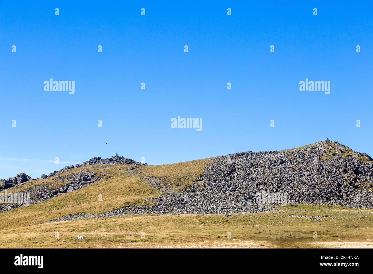 Mit Blick auf den Gipfel von Cadair Idris oder Cader Idris Stockfoto