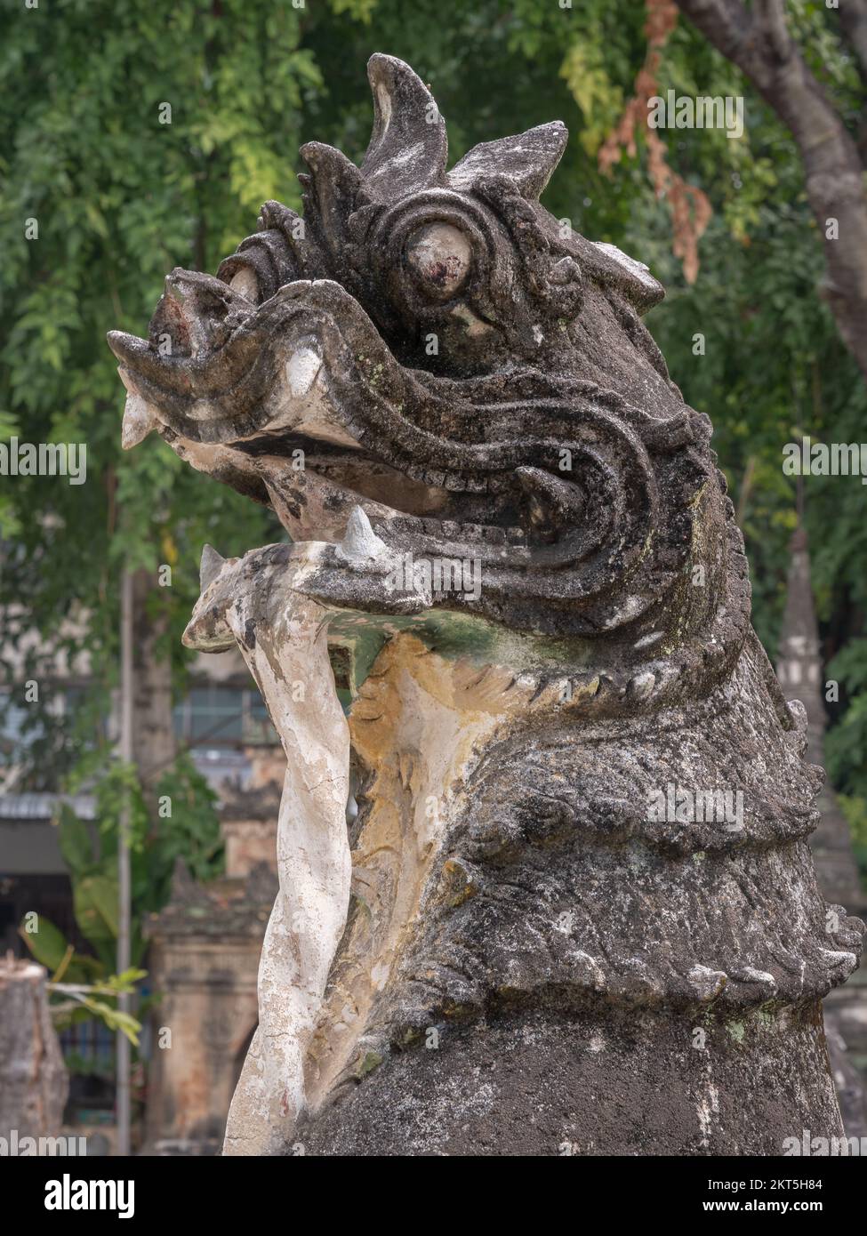 Aus nächster Nähe sehen Sie einen Chinthe oder singha, einen traditionellen Löwenwächter und Beschützer im antiken buddhistischen Tempel Wat Pa Pao Shan, Chiang Mai, Thailand Stockfoto
