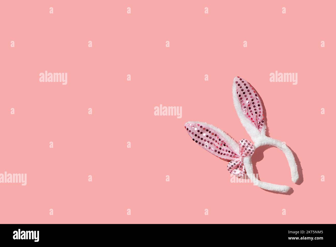 Bunny-Ohrrahmen auf pinkfarbenem Hintergrund mit flachem Muster Stockfoto