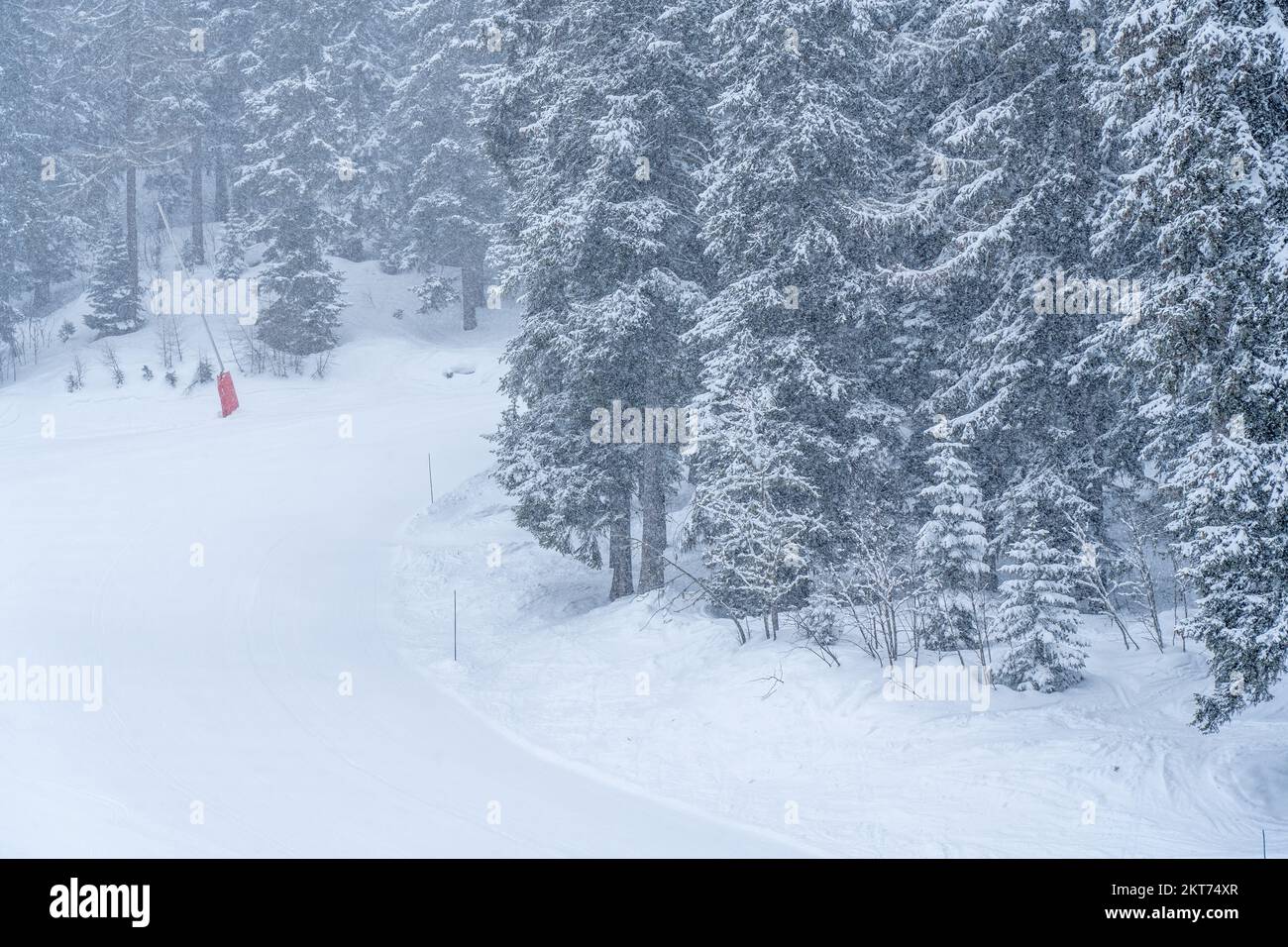 Schneesturm im Winter in einem Skigebiet. Grauer und bedeckter Tag mit schneebedeckten Bäumen. Hochwertiges Foto Stockfoto