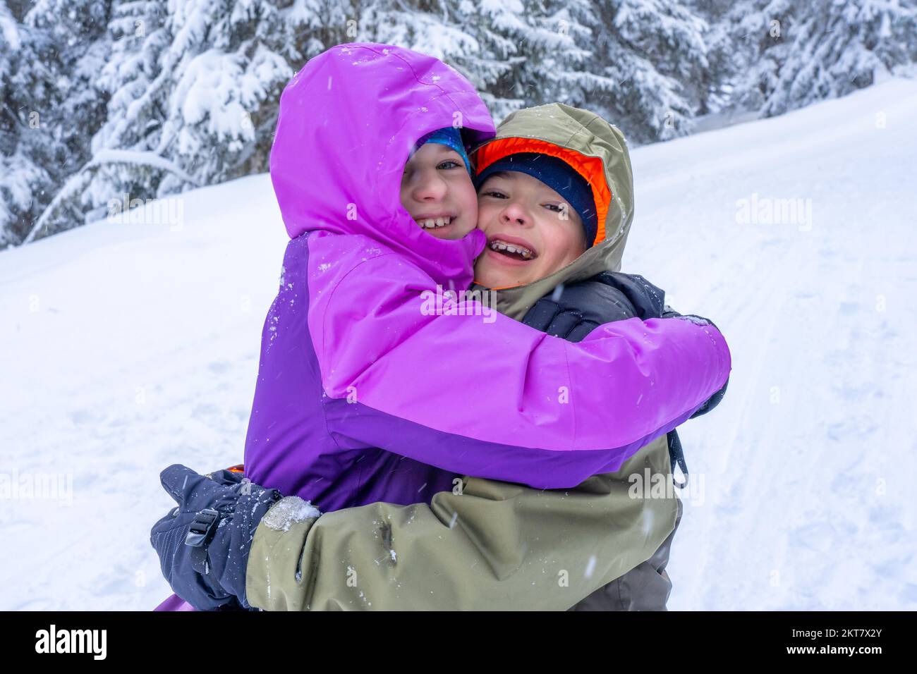Junge und Mädchen spielen im Schnee. Wald. Tannen bedeckt mit Schnee am frostigen Morgen. Winterferienkonzept. Selektiver Fokus. Hochwertiges Foto Stockfoto