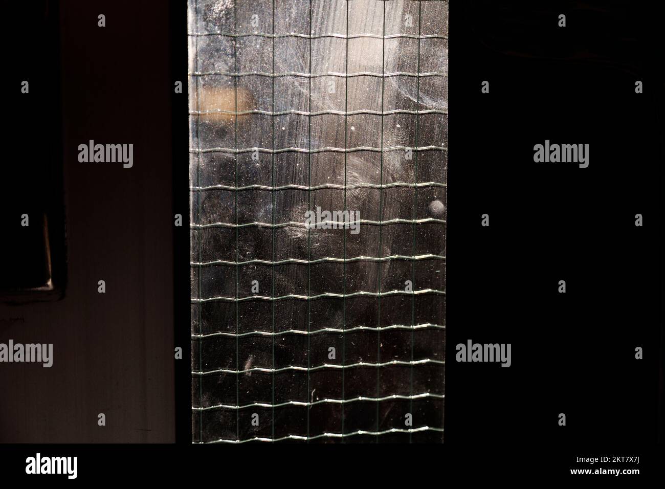 Glasscheibe mit Metallschutzdrähten in einem Gitter Stockfoto