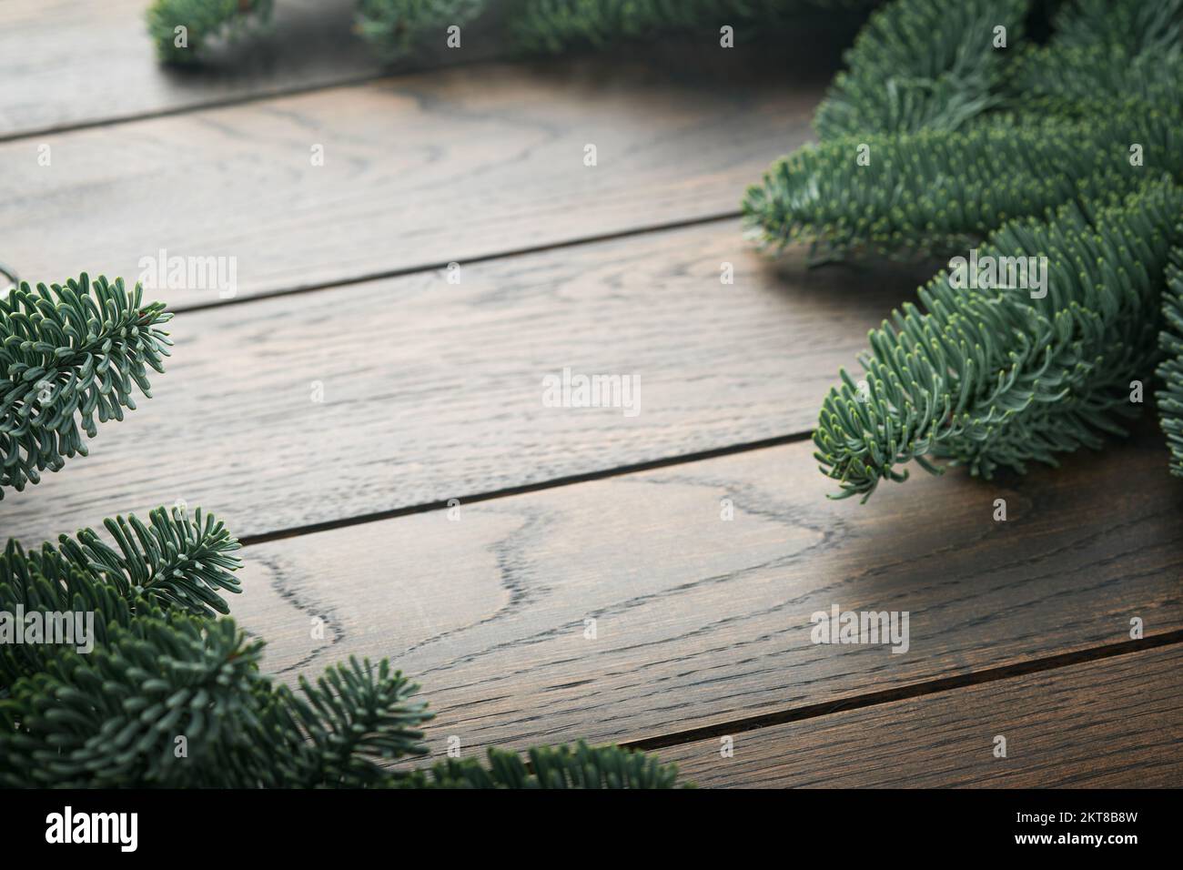 Heirate Weihnachten. Neujahrshintergrund mit Tannenzweigen und Weihnachts-Shortbread-Keksen mit Sternen und rotem Band, Tannenbaum auf der rechten und linken Seite im Dunkeln Stockfoto