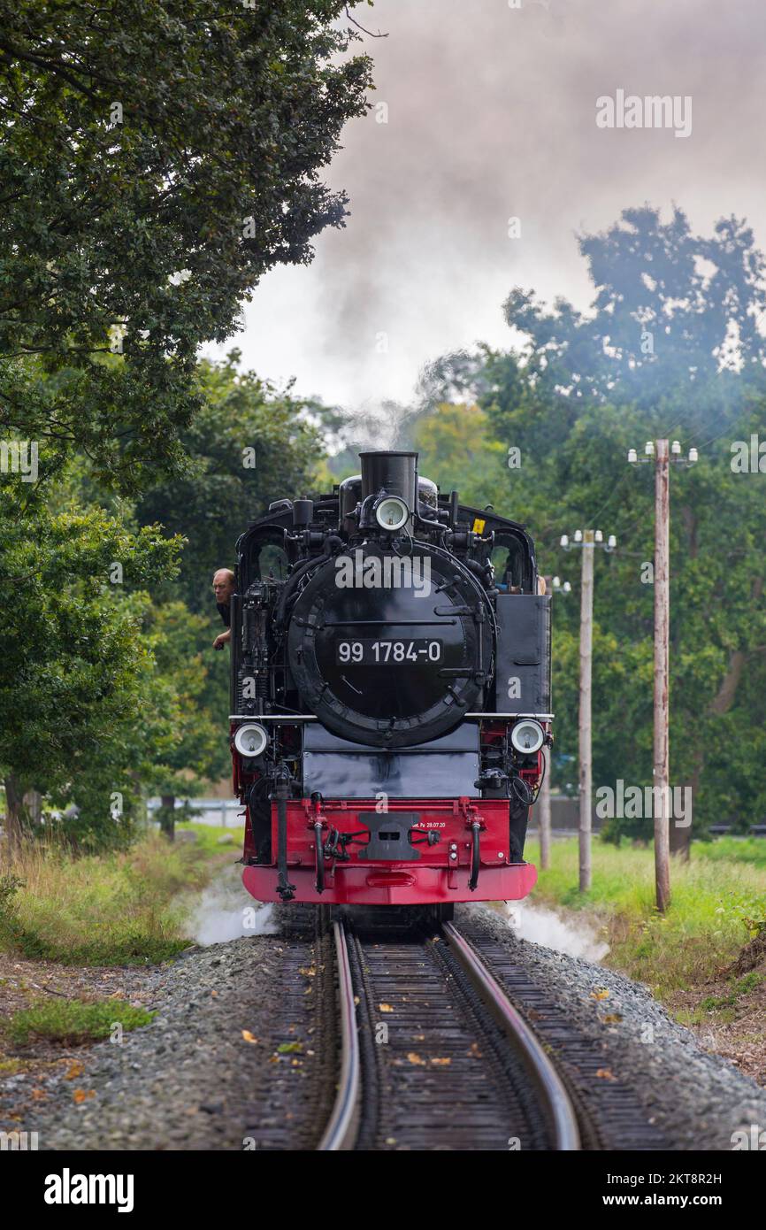 Rasender Roland Dampflokomotive 99 1784 auf der Schmalspurbahn Rügen / Rügensche Bäderbahn auf der Insel Rügen, Mecklenburg-Vorpommern Stockfoto