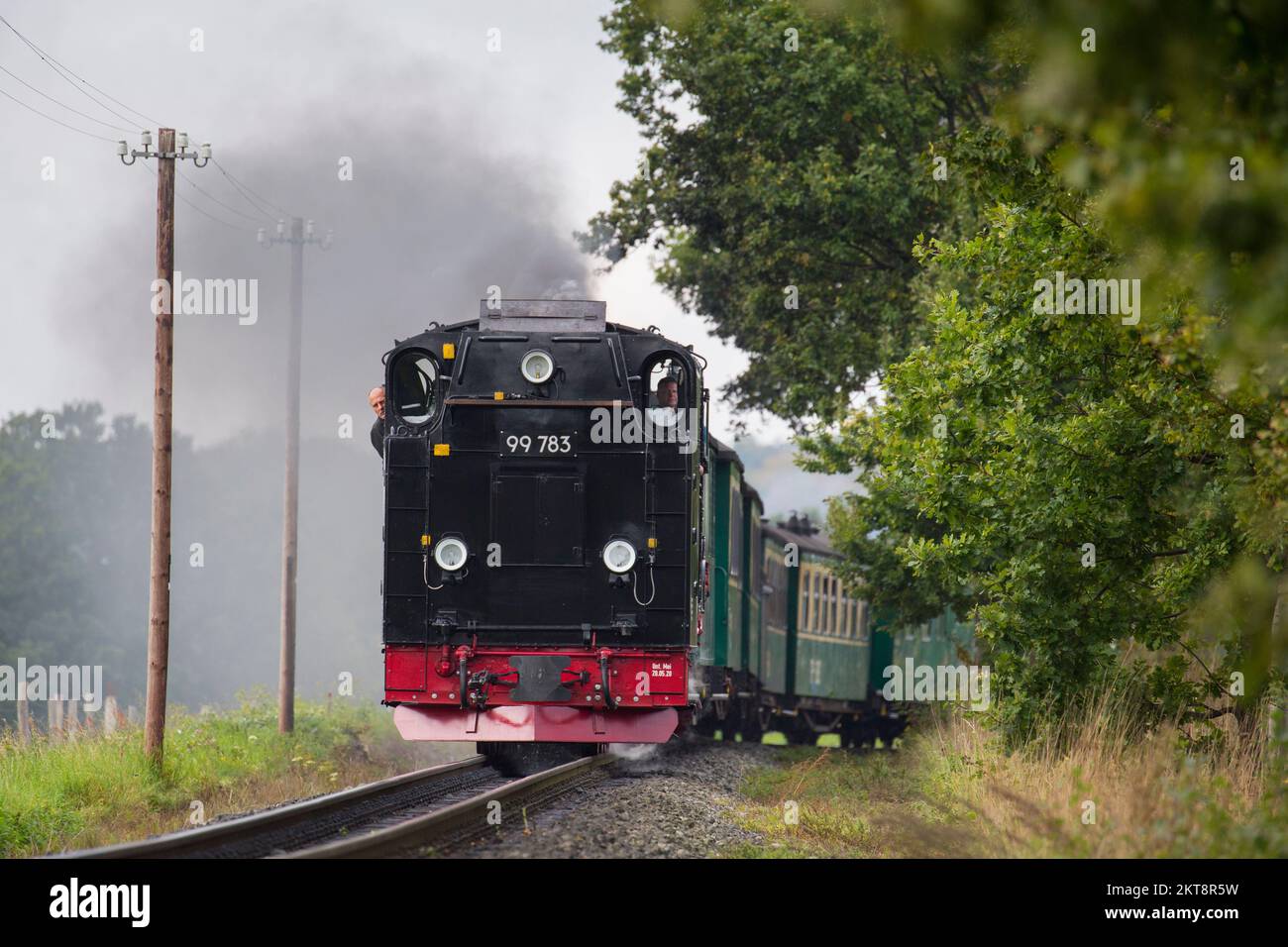 Rasender Roland Dampflokomotive 99 783 auf der Schmalspurbahn Rügen / Rügensche Bäderbahn auf der Insel Rügen, Mecklenburg-Vorpommern Stockfoto
