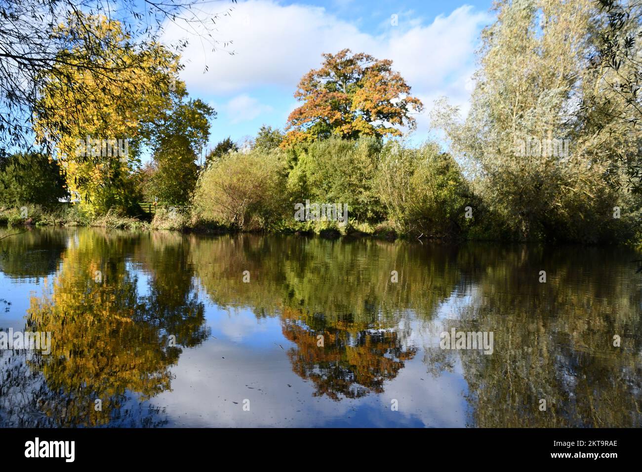 Herbstfarben spiegeln sich an einem Fluss Nore, Kilkenny, Irland Stockfoto