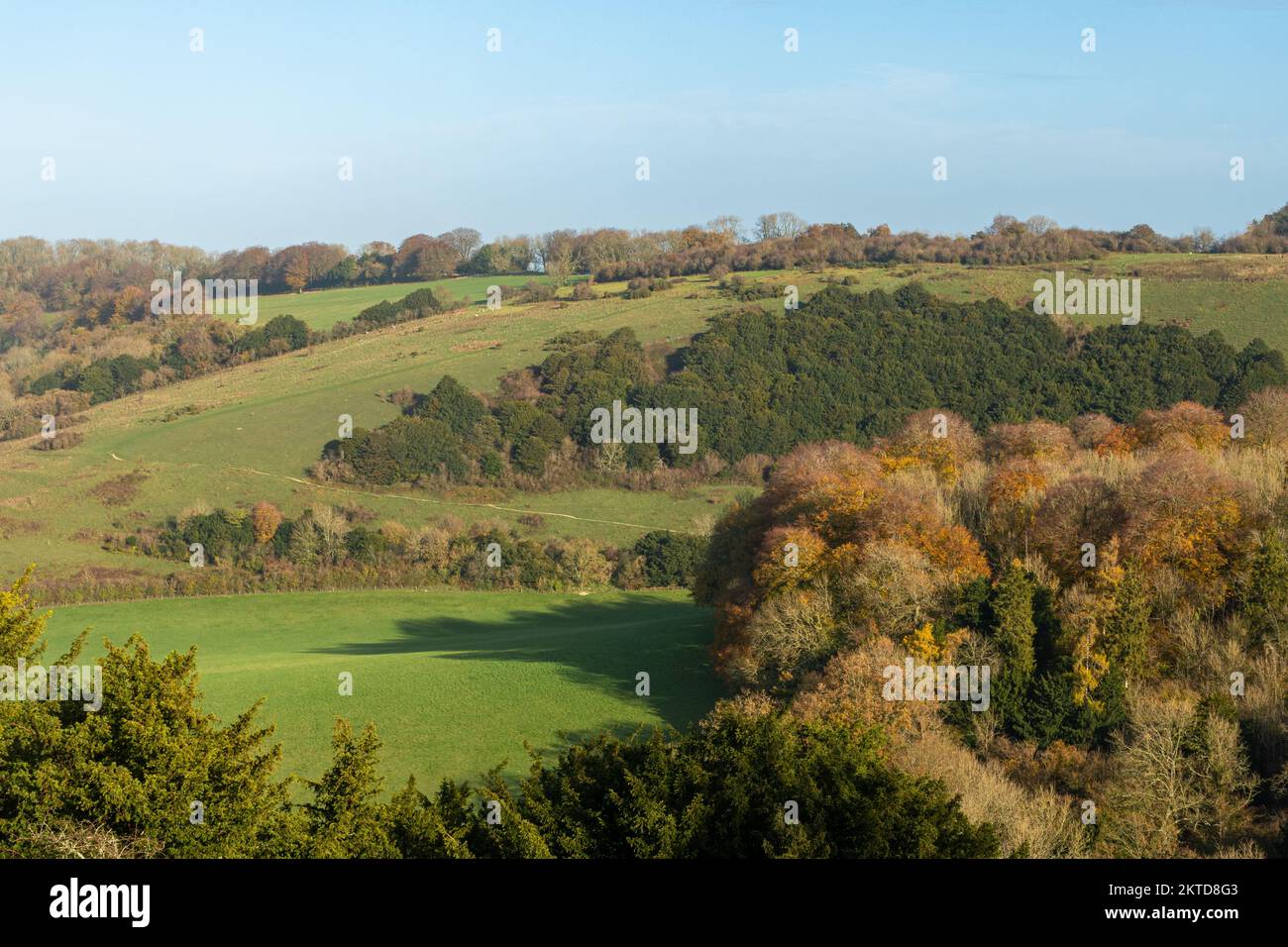 Old Winchester Hill im November, Herbstblick auf die SSSI im South Downs National Park, Hampshire, England, Großbritannien Stockfoto