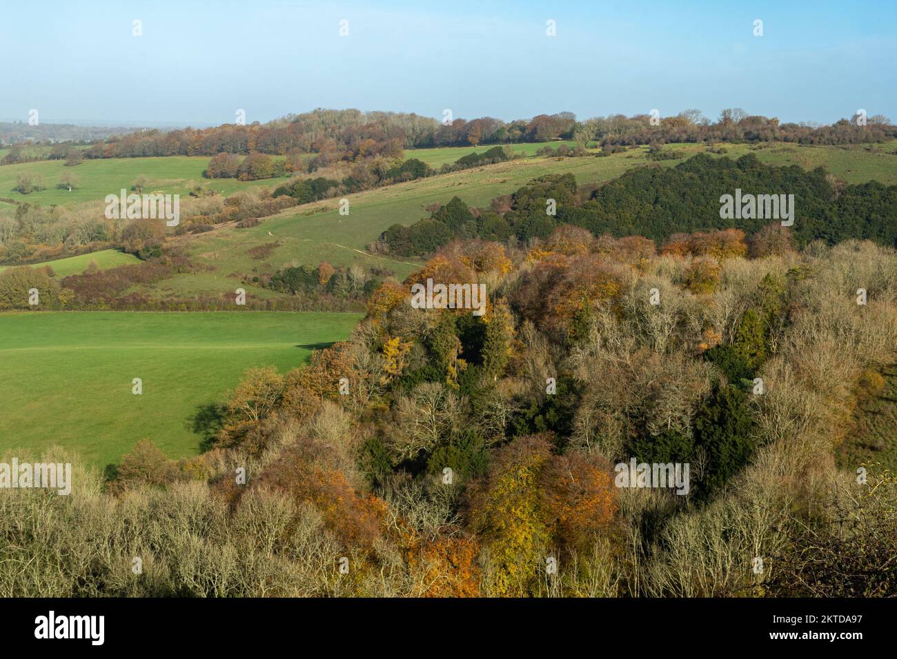 Old Winchester Hill im November, Herbstblick auf die SSSI im South Downs National Park, Hampshire, England, Großbritannien Stockfoto
