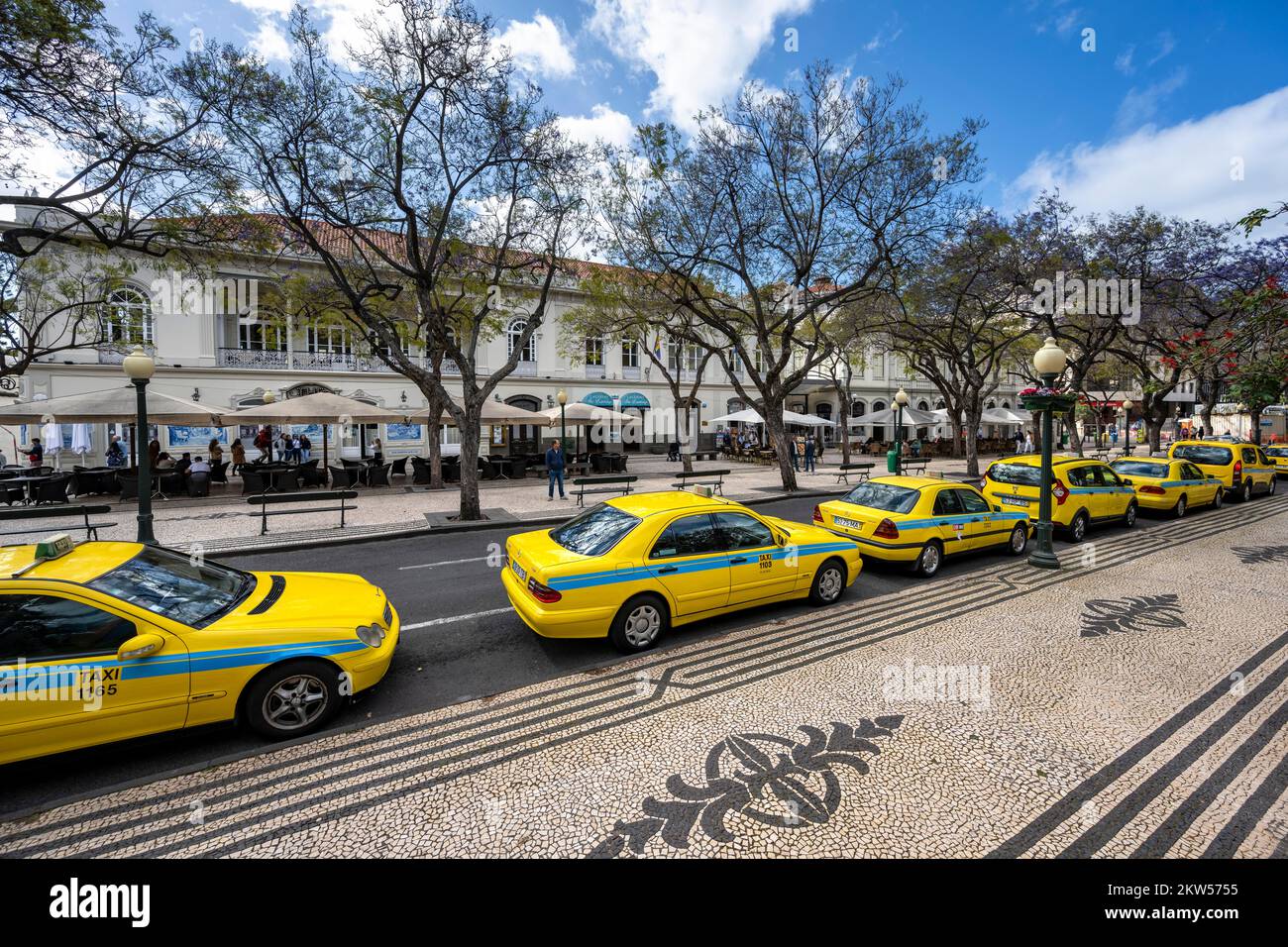 Taxis auf der Straße, Promenade, Kopfsteinpflasterstraße, Avenida Arriaga, Funchal, Madeira, Portugal, Europa Stockfoto