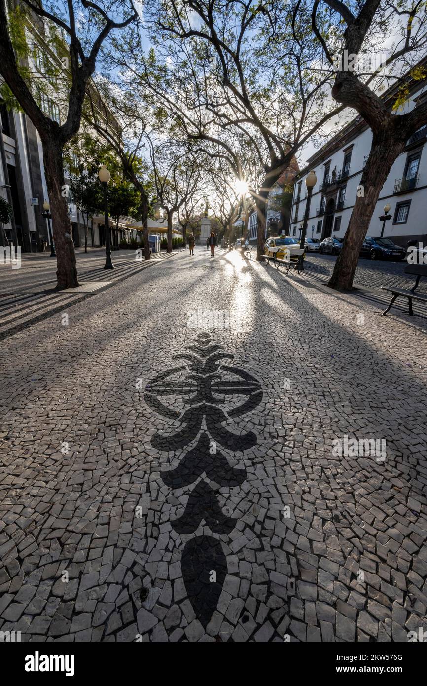 Bodenmosaik auf der Avenida Arriaga, Promenade mit Bänken, Promenade, Straße mit Kopfsteinpflaster, Funchal, Madeira, Portugal, Europa Stockfoto