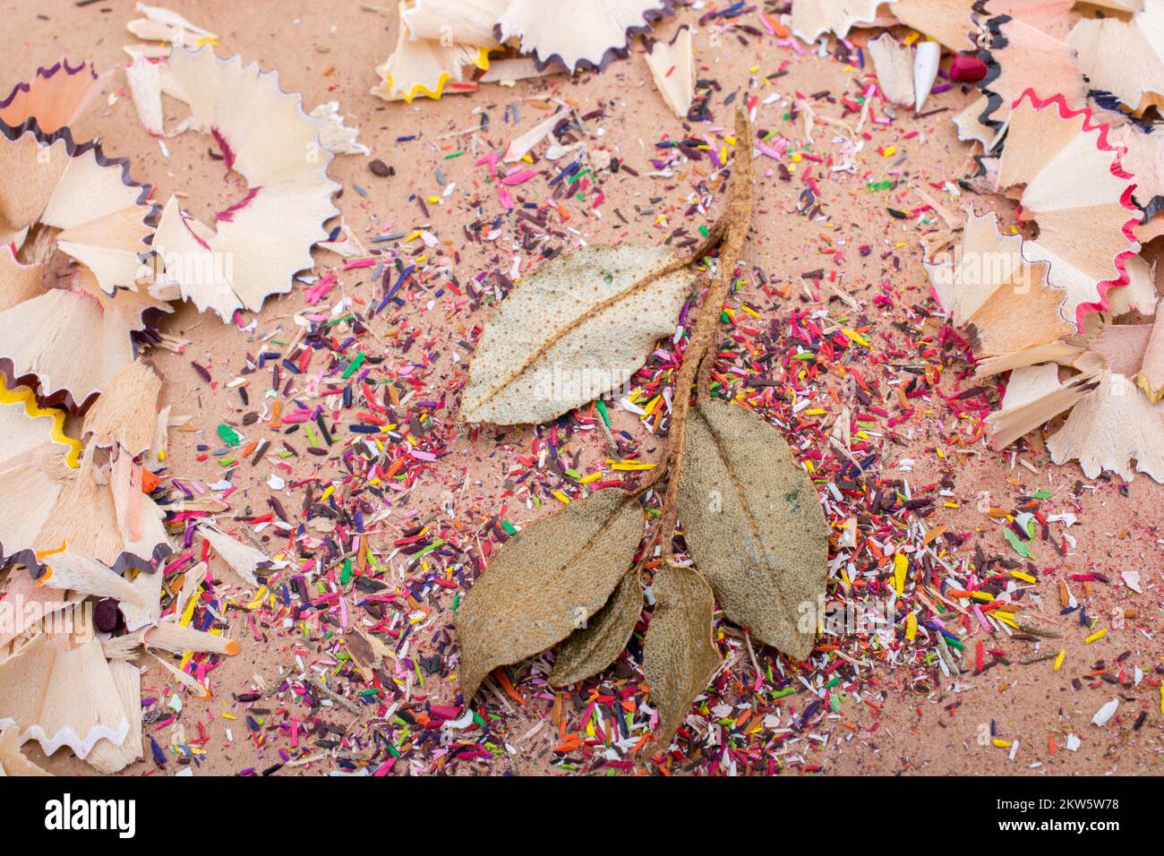 Trockene Blätter inmitten Farbe Bleistift rasieren Stockfoto