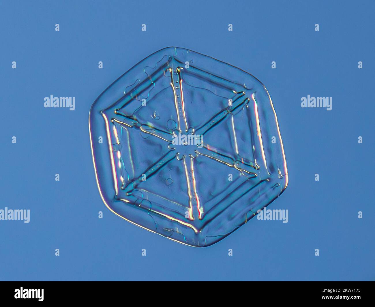 Schneeflocke auf gleichmäßigem Hintergrund. Makrofoto eines echten Schneekristalls auf Glasoberfläche. Das ist ein kleiner Schneeflockenkristall mit ungewöhnlichem Muster Stockfoto
