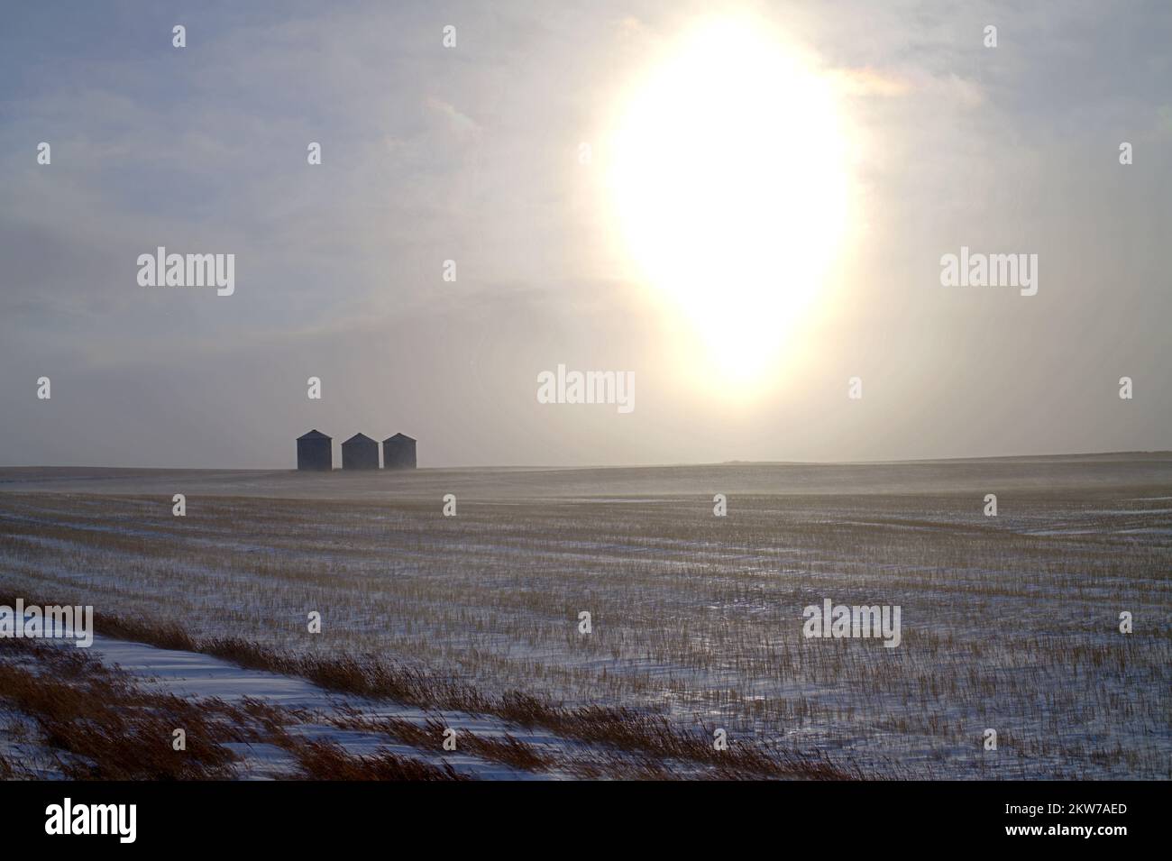 Drei Getreidesilos während eines Wintersturms in der tiefen Wintersaison im Westen von North Dakota. Dieses Bild zeigt die isolierte Realität der Landwirtschaft. Stockfoto