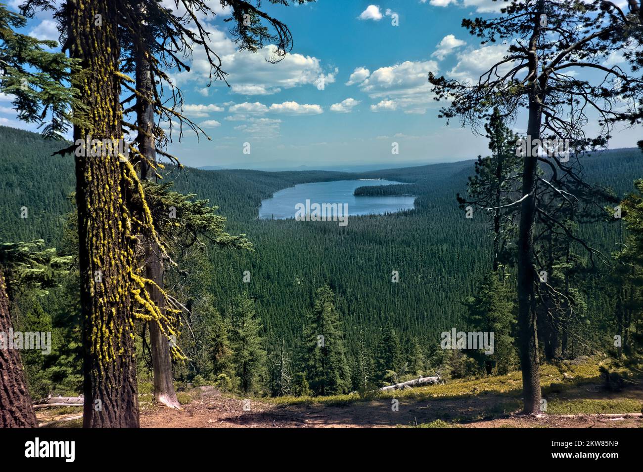 Der wunderschöne Miller Lake vom Pacific Crest Trail, Chemult, Oregon, USA Stockfoto