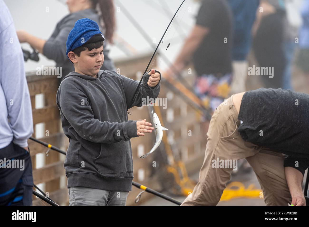 Ein Junge, der an einem nebligen Morgen am Jacksonville Beach Fishing Pier in Jacksonville Beach, Florida, einen gefangenen Fisch schnappen will. (USA) Stockfoto