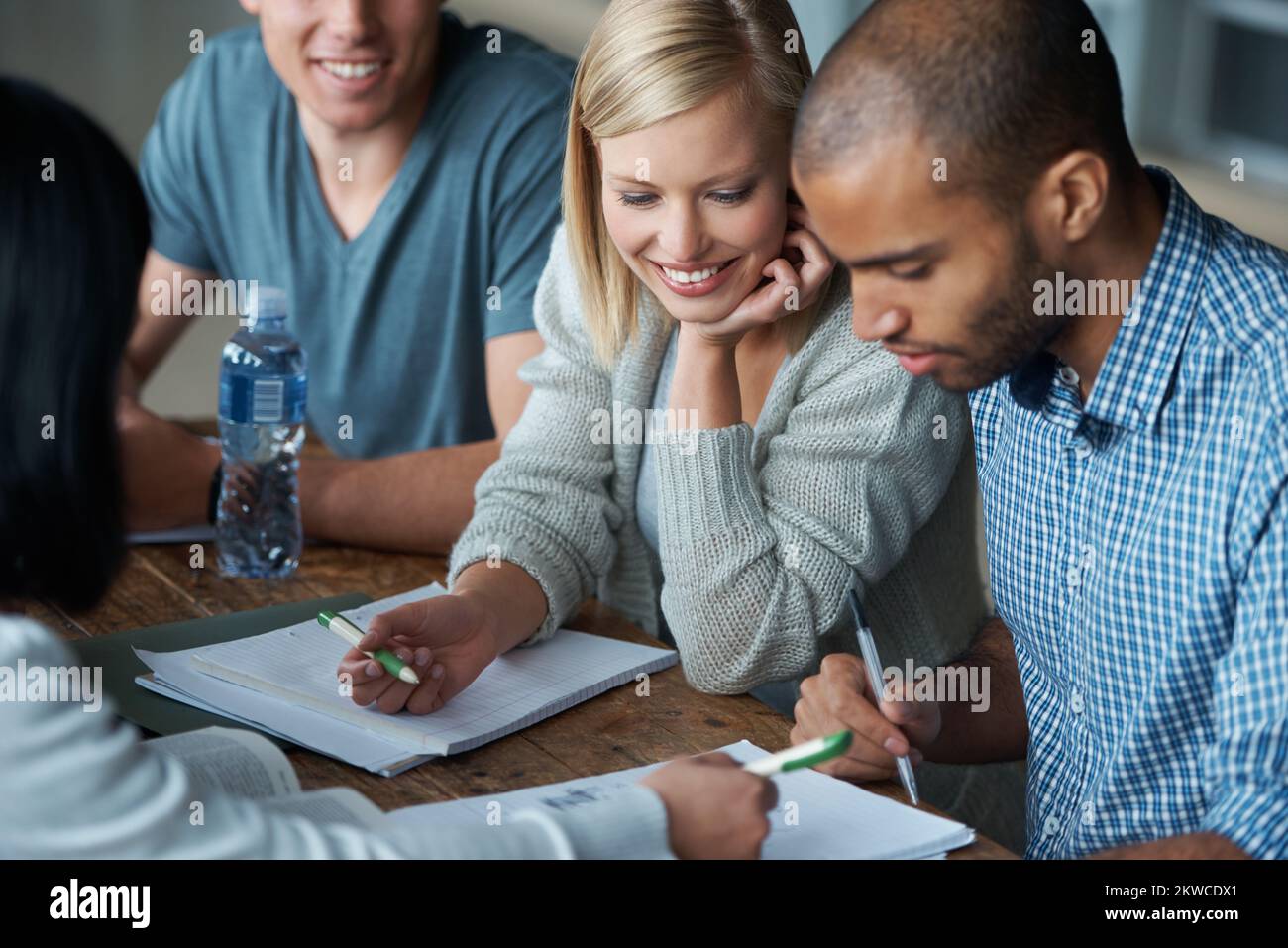 Schnelle Lernmöglichkeiten zum Einprägen dieser Notizen. Eine Gruppe von Studenten, die zusammen sitzen und studieren. Stockfoto