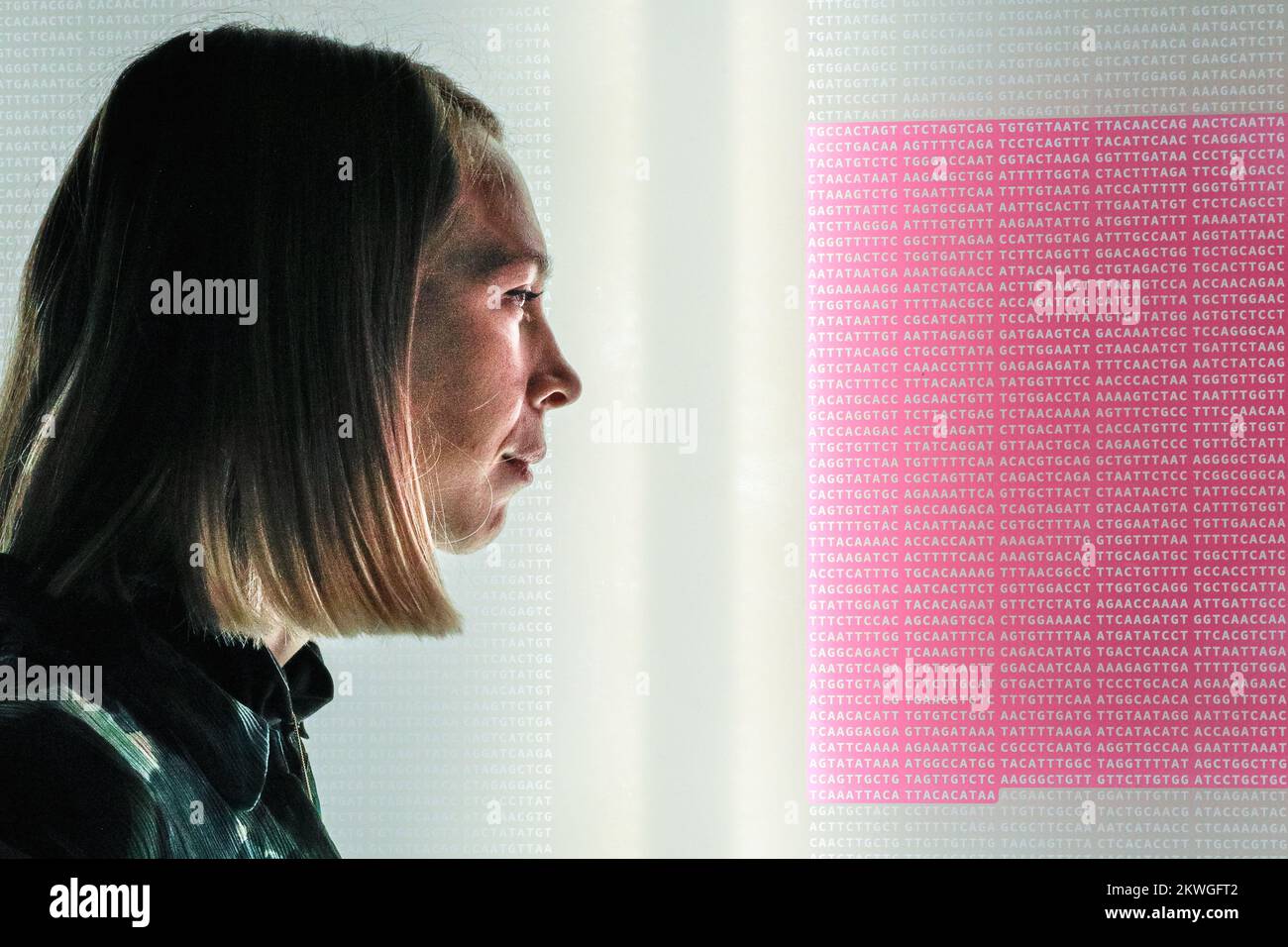 London, Großbritannien. 30.. November 2022. Das Museumspersonal posiert mit einer visuellen Darstellung des langen genetischen Codes des Virus, wobei der rosa Teil das Spike-Protein darstellt. Injizierende Hoffnung: Das Rennen um einen COVID-19-Impfstoff erforscht in einer kostenlosen Ausstellung im Wissenschaftsmuseum die weltweiten Bemühungen, Impfstoffe in pandemischer Geschwindigkeit zu entwickeln. Es zielt darauf ab, das Unsichtbare sichtbar zu machen, von der Untersuchung des Virus selbst bis zur Enthüllung der Arbeit, die die Impfstoffe ermöglicht hat. Kredit: Imageplotter/Alamy Live News Stockfoto London, Großbritannien. 30.. November 2022. Das Museumspersonal posiert mit einer visuellen Darstellung des langen genetischen Codes des Virus, wobei der rosa Teil das Spike-Protein darstellt. Injizierende Hoffnung: Das Rennen um einen COVID-19-Impfstoff erforscht in einer kostenlosen Ausstellung im Wissenschaftsmuseum die weltweiten Bemühungen, Impfstoffe in pandemischer Geschwindigkeit zu entwickeln. Es zielt darauf ab, das Unsichtbare sichtbar zu machen, von der Untersuchung des Virus selbst bis zur Enthüllung der Arbeit, die die Impfstoffe ermöglicht hat. Kredit: Imageplotter/Alamy Live News Stockfoto