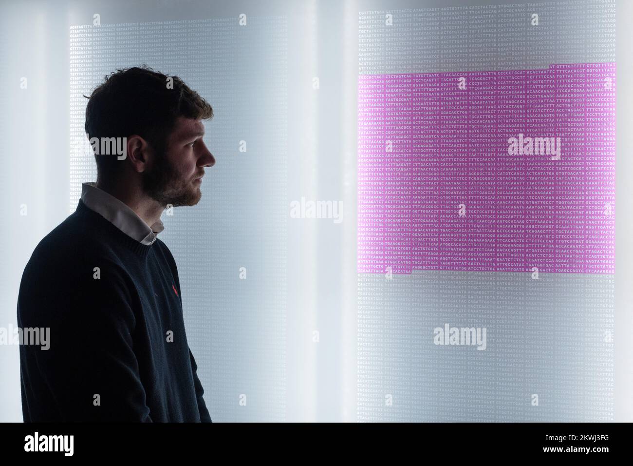 London, England. 30.12.22. Der genetische Code für das Virus, das COVID-19 verursacht, ist rosa hervorgehoben und die Sequenz, die für die Produktion des Spike-Proteins bei der Injektion von Hoffnung verantwortlich ist: Das Rennen um einen COVID-19-Impfstoff im Wissenschaftsmuseum. Injection Hope öffnet heute und erforscht die weltweiten Bemühungen, Impfstoffe in pandemischer Geschwindigkeit zu entwickeln. Credit: SMP News / Alamy Live News Stockfoto London, England. 30.12.22. Der genetische Code für das Virus, das COVID-19 verursacht, ist rosa hervorgehoben und die Sequenz, die für die Produktion des Spike-Proteins bei der Injektion von Hoffnung verantwortlich ist: Das Rennen um einen COVID-19-Impfstoff im Wissenschaftsmuseum. Injection Hope öffnet heute und erforscht die weltweiten Bemühungen, Impfstoffe in pandemischer Geschwindigkeit zu entwickeln. Credit: SMP News / Alamy Live News Stockfoto