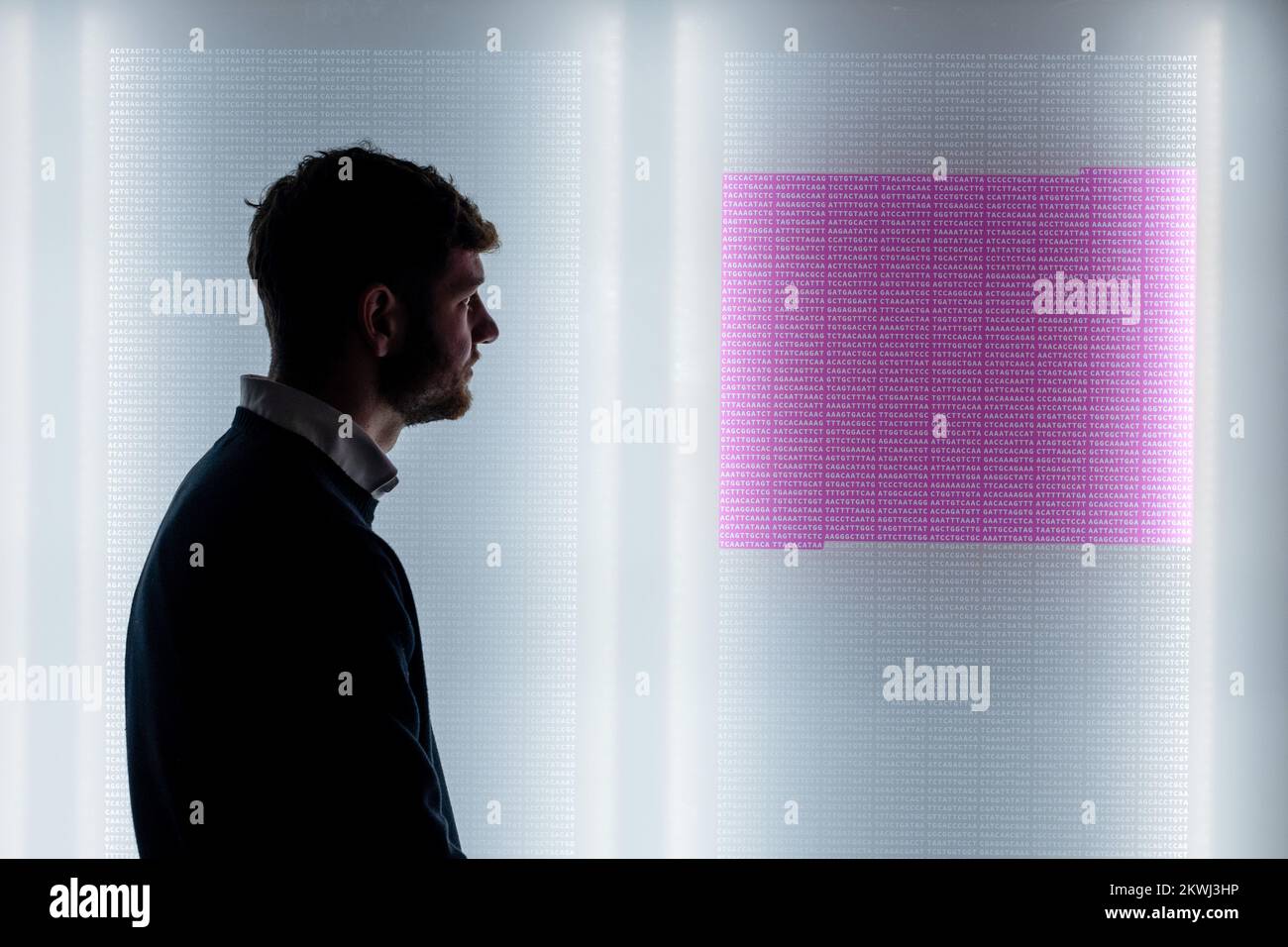 London, England. 30.12.22. Der genetische Code für das Virus, das COVID-19 verursacht, ist rosa hervorgehoben und die Sequenz, die für die Produktion des Spike-Proteins bei der Injektion von Hoffnung verantwortlich ist: Das Rennen um einen COVID-19-Impfstoff im Wissenschaftsmuseum. Injection Hope öffnet heute und erforscht die weltweiten Bemühungen, Impfstoffe in pandemischer Geschwindigkeit zu entwickeln. Credit: SMP News / Alamy Live News Stockfoto London, England. 30.12.22. Der genetische Code für das Virus, das COVID-19 verursacht, ist rosa hervorgehoben und die Sequenz, die für die Produktion des Spike-Proteins bei der Injektion von Hoffnung verantwortlich ist: Das Rennen um einen COVID-19-Impfstoff im Wissenschaftsmuseum. Injection Hope öffnet heute und erforscht die weltweiten Bemühungen, Impfstoffe in pandemischer Geschwindigkeit zu entwickeln. Credit: SMP News / Alamy Live News Stockfoto