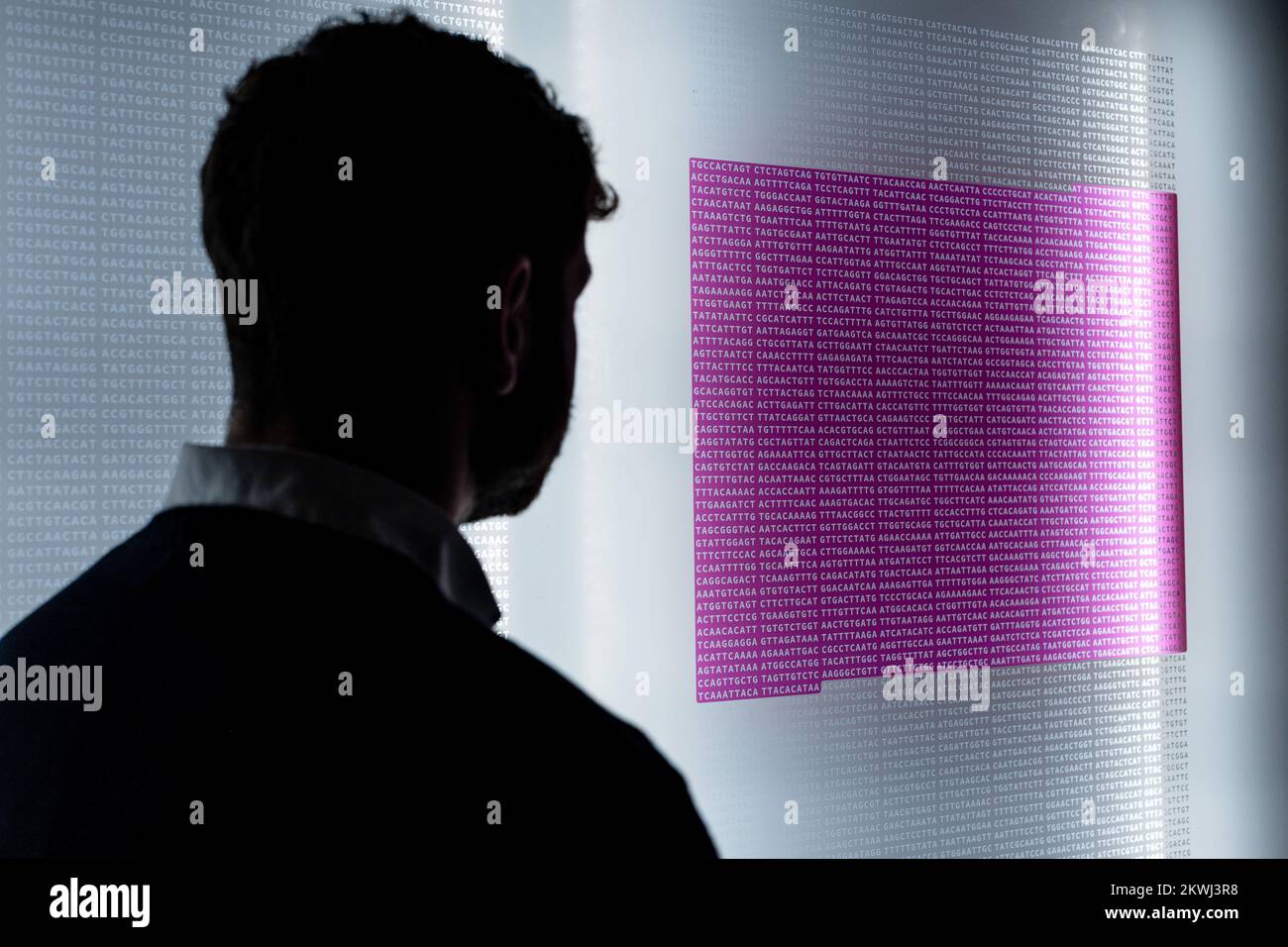 London, England. 30.12.22. Der genetische Code für das Virus, das COVID-19 verursacht, ist rosa hervorgehoben und die Sequenz, die für die Produktion des Spike-Proteins bei der Injektion von Hoffnung verantwortlich ist: Das Rennen um einen COVID-19-Impfstoff im Wissenschaftsmuseum. Injection Hope öffnet heute und erforscht die weltweiten Bemühungen, Impfstoffe in pandemischer Geschwindigkeit zu entwickeln. Credit: SMP News / Alamy Live News Stockfoto London, England. 30.12.22. Der genetische Code für das Virus, das COVID-19 verursacht, ist rosa hervorgehoben und die Sequenz, die für die Produktion des Spike-Proteins bei der Injektion von Hoffnung verantwortlich ist: Das Rennen um einen COVID-19-Impfstoff im Wissenschaftsmuseum. Injection Hope öffnet heute und erforscht die weltweiten Bemühungen, Impfstoffe in pandemischer Geschwindigkeit zu entwickeln. Credit: SMP News / Alamy Live News Stockfoto