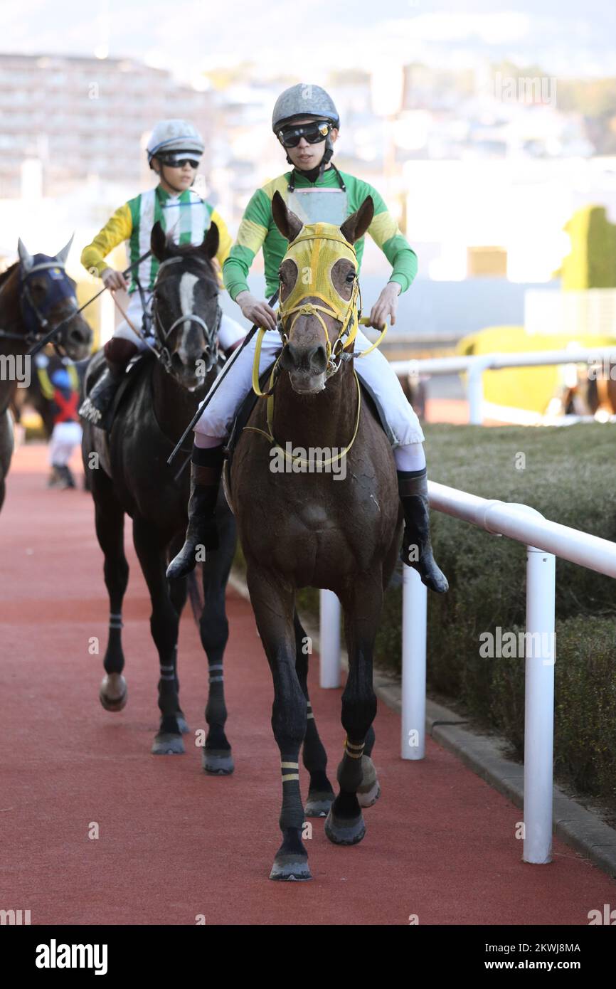 Hyogo, Japan. 27.. November 2022. Ushba Tesoro und Kazuo Yokoyama