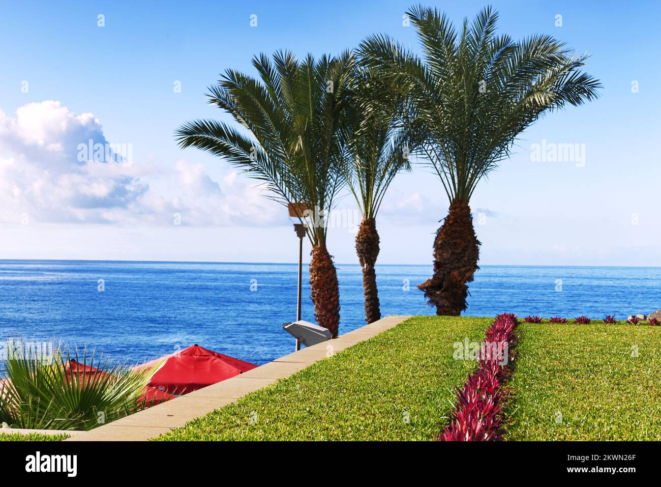 Ribeira Brava Uferpromenade, Insel Madeira - Gras auf grünem Dach mit roten Sonnenschirmen mit Blick auf den Atlantischen Ozean Stockfoto