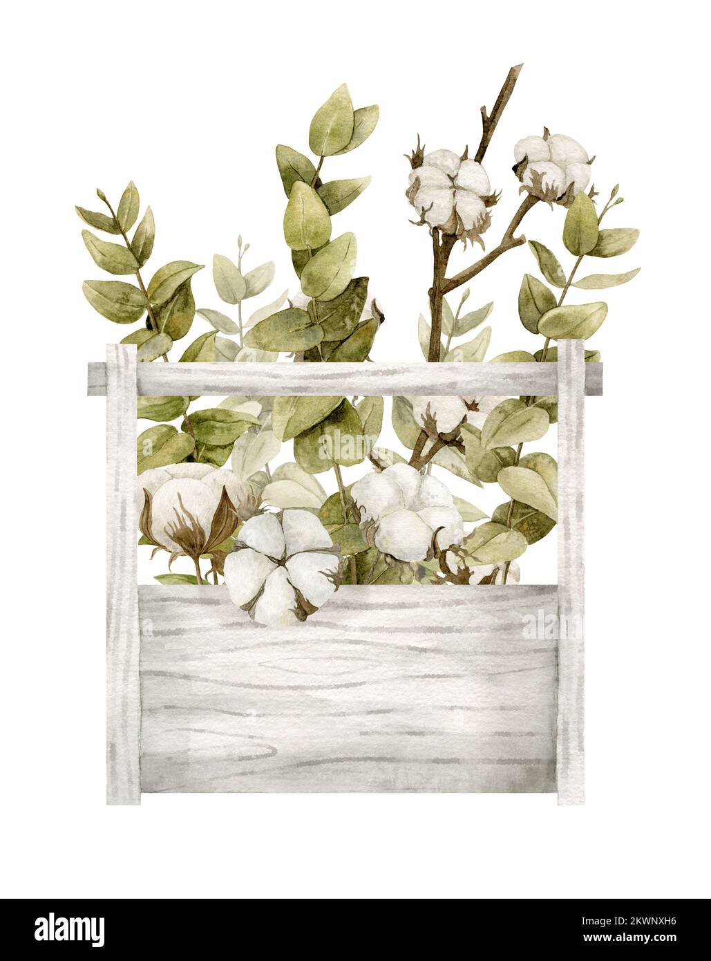 Holzkiste mit getrockneten weißen Baumwollblumen und grünem Eukalyptus im Vintage-Stil. Handgemalte botanische Illustration auf isoliertem Hintergrund für Grußkarten oder Hochzeitseinladungen. Blumenskizze. Stockfoto