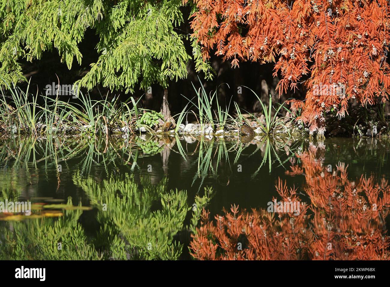 17.10.2013., Zagreb der Botanische Garten der Universität von Zagreb (Fakultät für Wissenschaft) befindet sich im Zentrum von Zagreb. Der größte Teil der 4,7 Hektar Gesamtfläche des Botanischen Gartens wird vom Arboretum bewohnt. Der botanische Garten der FS ist sehr bekannt für seine wertvolle Sammlung von Pflanzenarten aus der kroatischen Flora. Foto: Borna Filic/PIXSELL Stockfoto