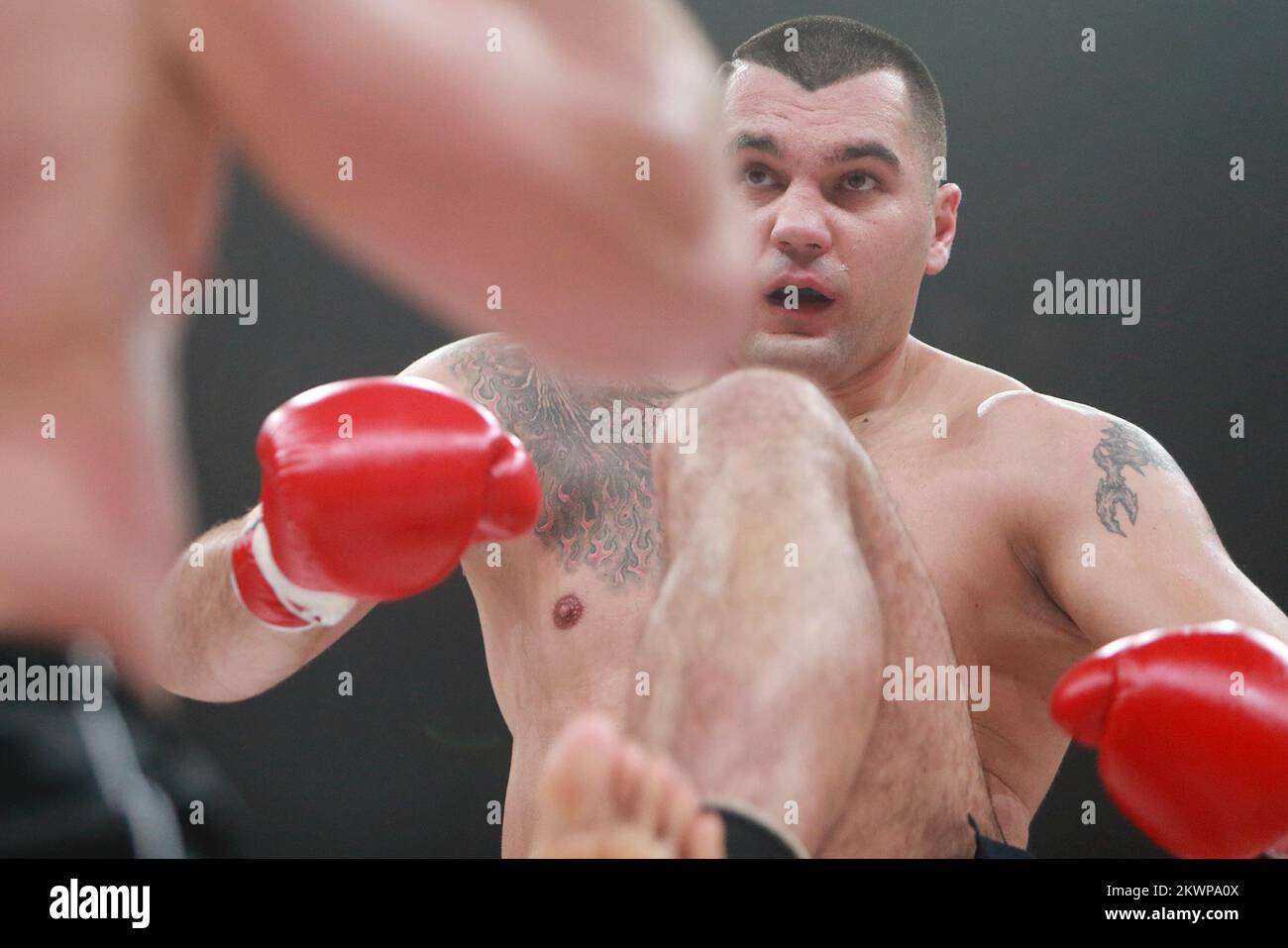 25.10.2013., Arena agreb, Zagreb - Final Fight Championship 8, Ali Cenik - Mladen Brestovac. Foto: Dalibor Urukalovic/PIXSELL Stockfoto
