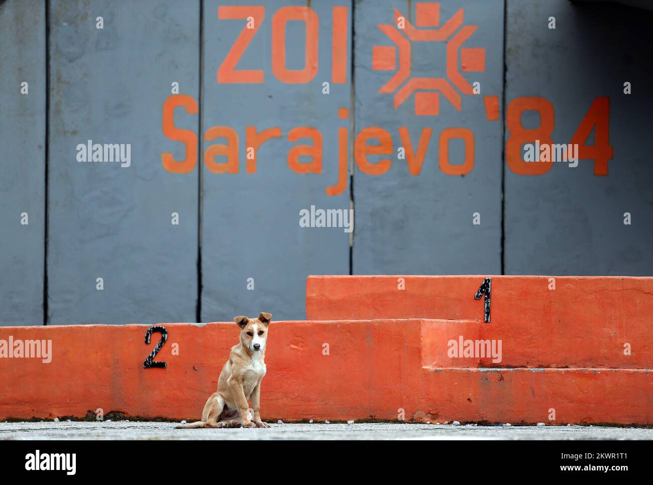 Sarajevo 1984 xiv olympische winterspiele Fotos und Bildmaterial in