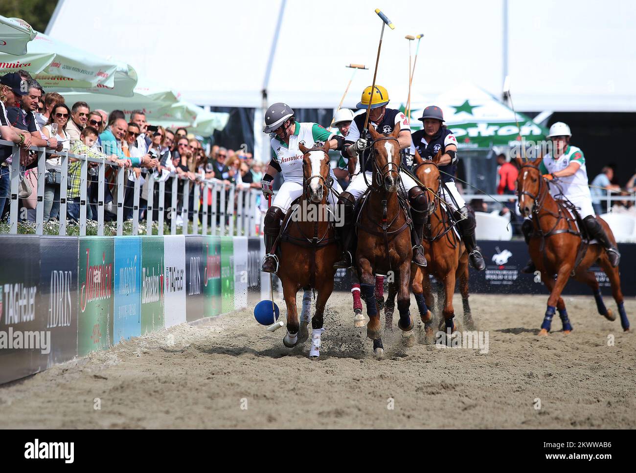 14.05.2016., Kroatien, Rovinj - der zweite Tag der ersten Ausgabe des Rovinj Beach Polo Turniers, ein einzigartiges Sport- und Touristenevent in Kroatien und der Region, für die die vier internationalen Spielerteams mit fünfzig Pferden auf sandigem Boden gegeneinander antreten. An der Eröffnungszeremonie, die nach dem ersten Turnier stattfand, nahmen zahlreiche Berühmtheiten aus Politik, Wirtschaft und Unterhaltungswelt aus der ganzen Welt Teil. Stockfoto