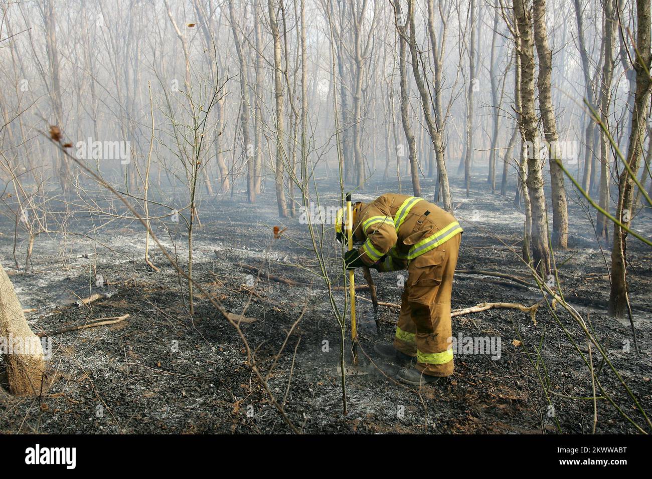 Severe Wildfire Threat, Shawnee, OK, 18. Januar 2006 Ein Feuerwehrmann der Shawnee Feuerwehr löscht Hitzköpfe nach einem Brand am Stadtrand. Bob McMillan/FEMA Photo.. Fotos zu Katastrophen- und Notfallmanagementprogrammen, Aktivitäten und Beamten Stockfoto