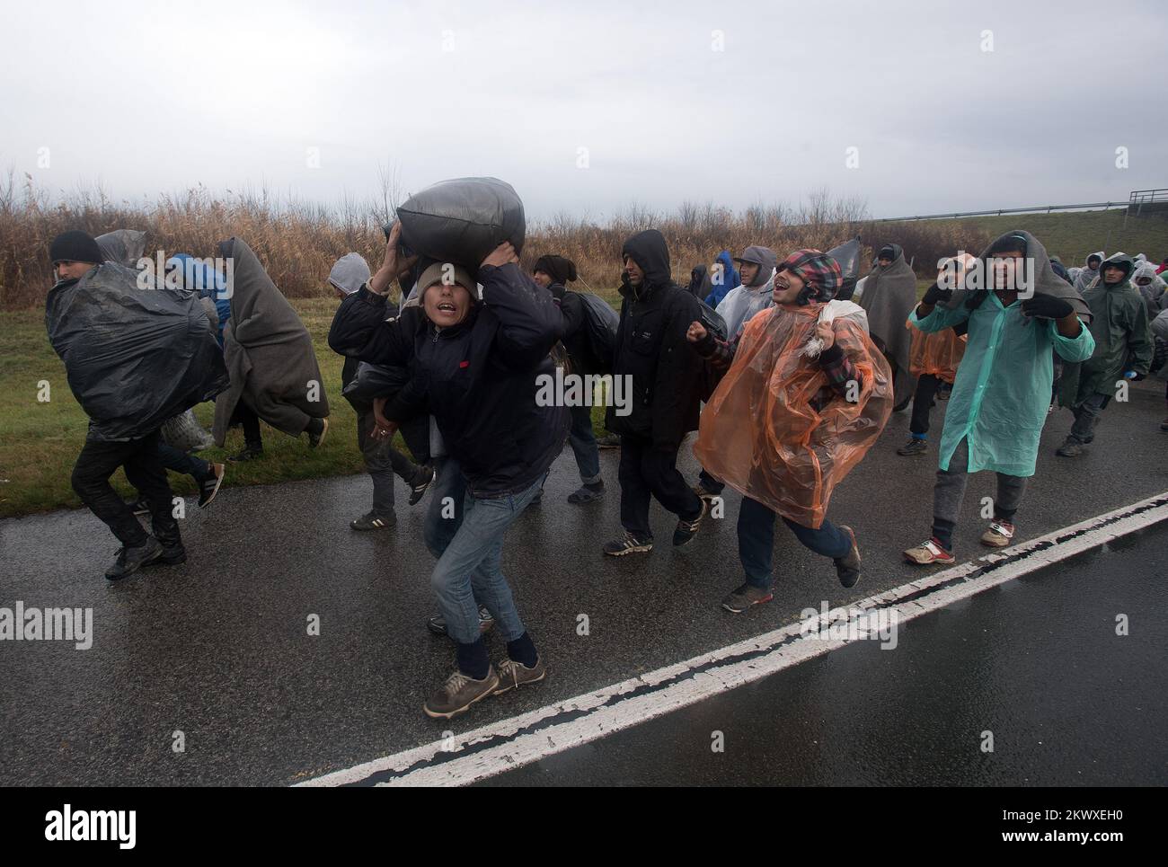 12.11.2016., Belgrad, Serbien - Eine Gruppe von mehr als 100 Migranten, überwiegend aus Afghanistan und Pakistan, ging zu Fuß von Belgrad nach Kroatien, und sie befinden sich derzeit auf der E-70 in der Nähe von Pecinac. Foto: Srdjan Ilic/PIXSELL Stockfoto